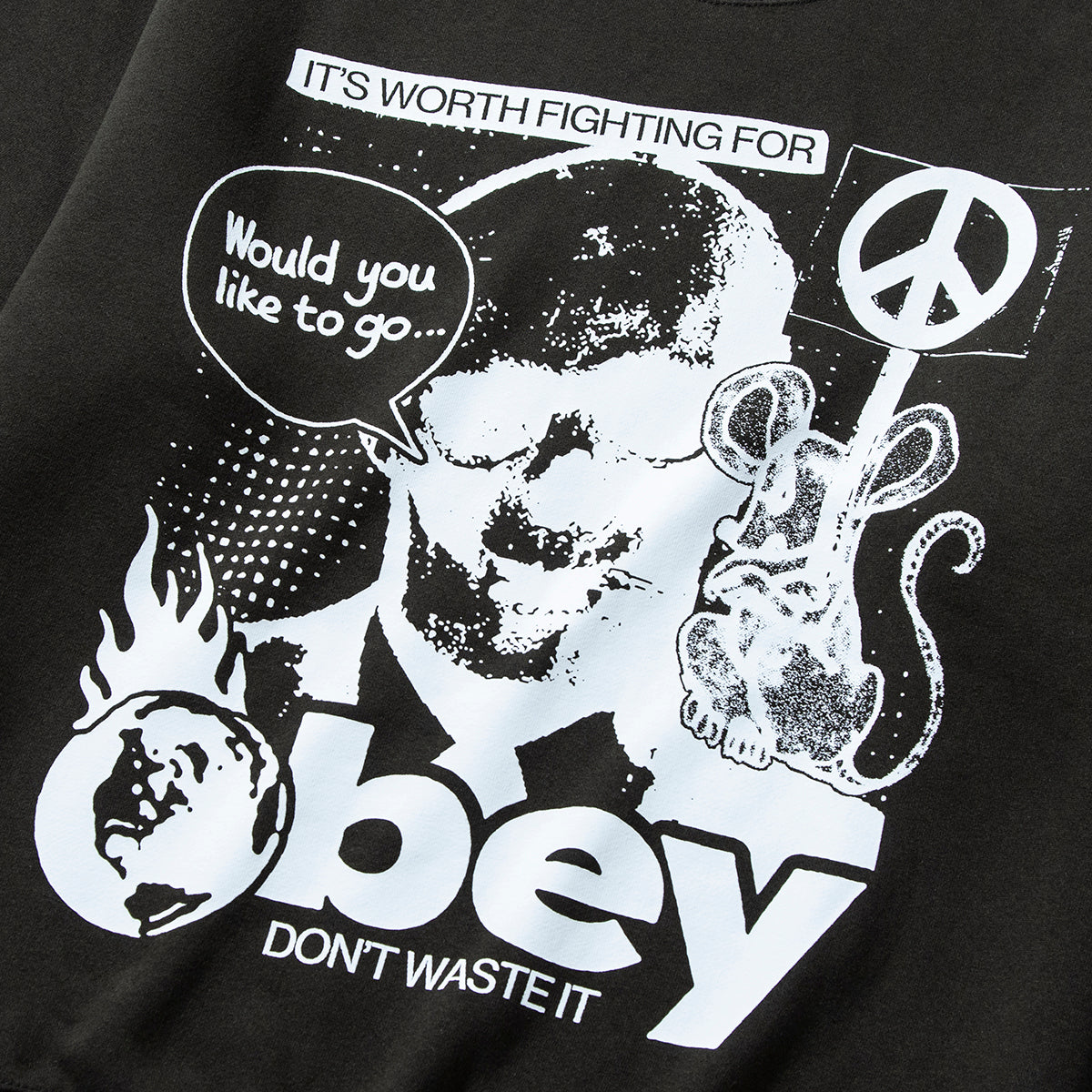 OBEY DON’T WASTE IT