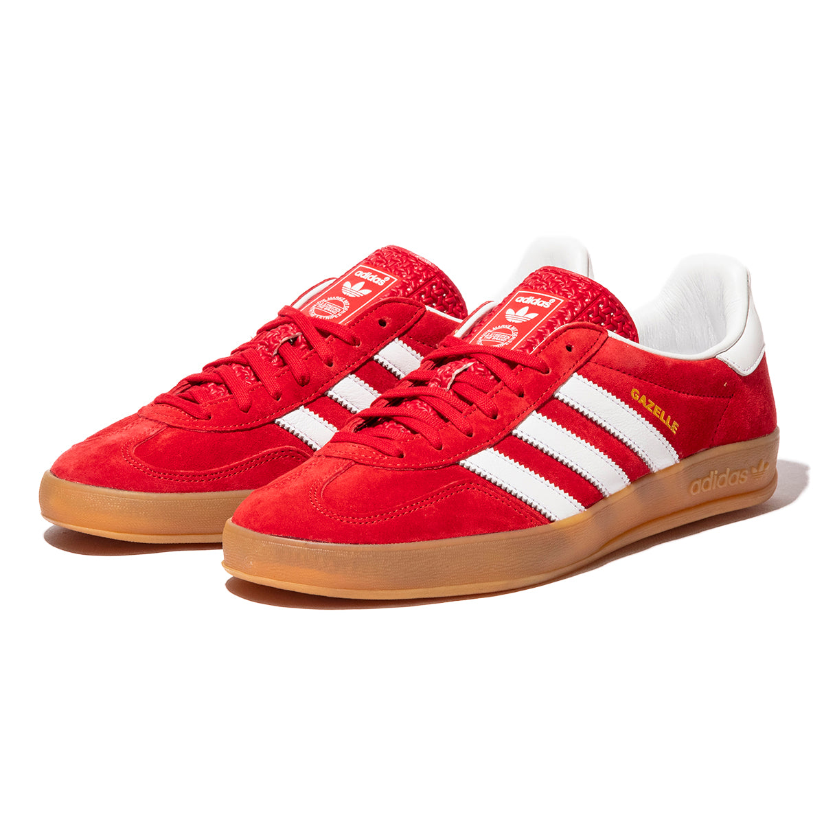 Gazelle Indoor