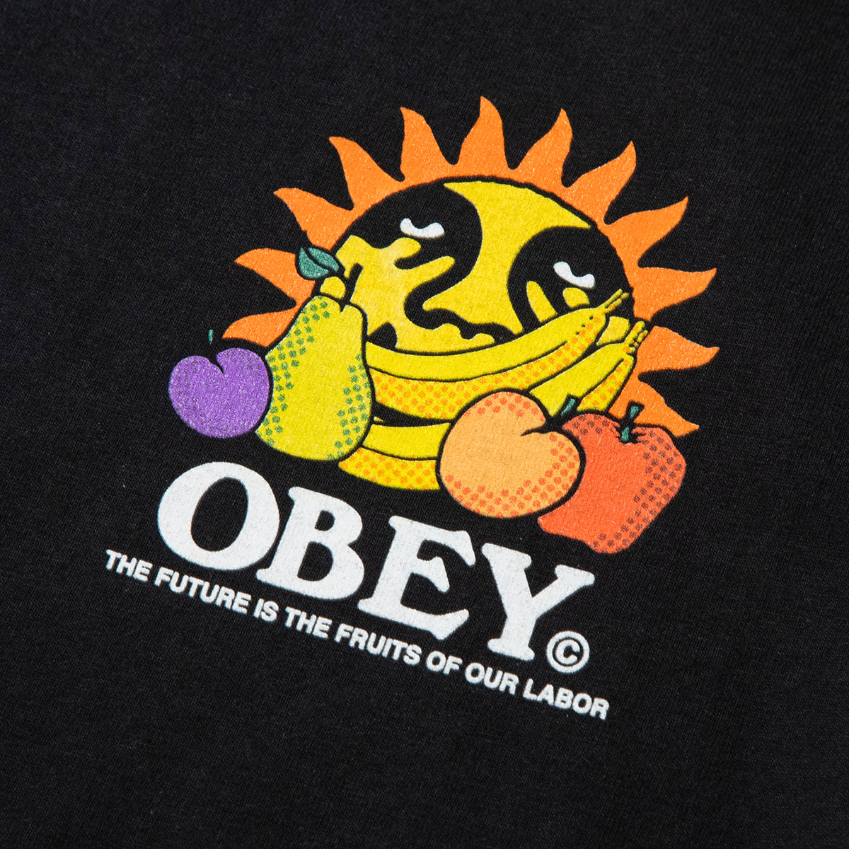 THE FUTURE IS THE FRUITS OF OUR LABOR