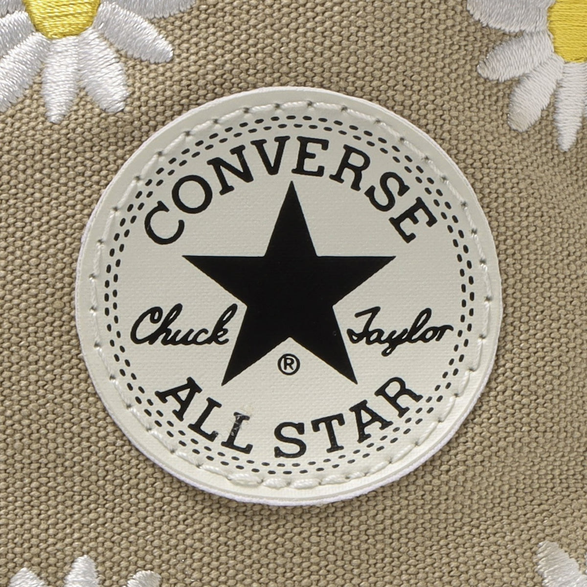 ALL STAR (R) DAISYFLOWER HI 【3月8日発送予定】