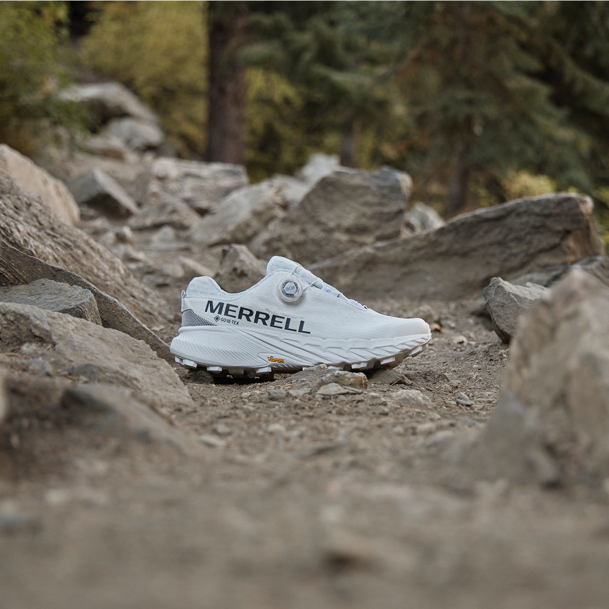 AGILITY PEAK 5 BOA GORE-TEX(R)