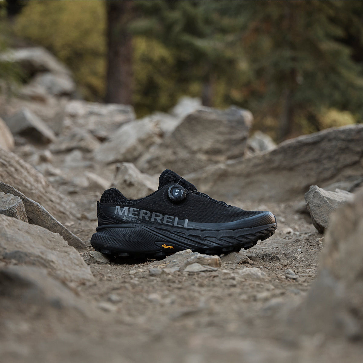 AGILITY PEAK 5 BOA GORE-TEX(R)