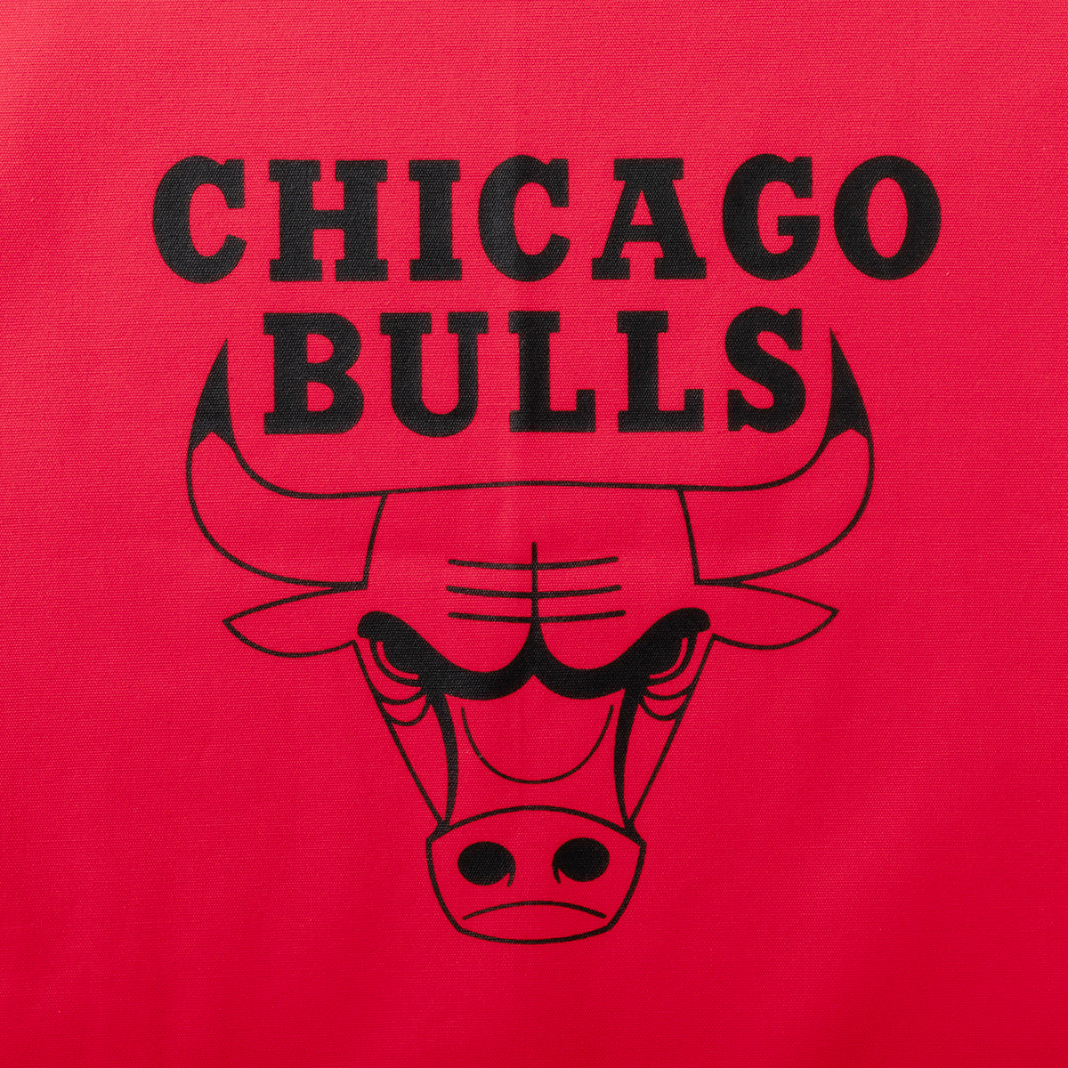 NBA x AKTR CUSHION COVER