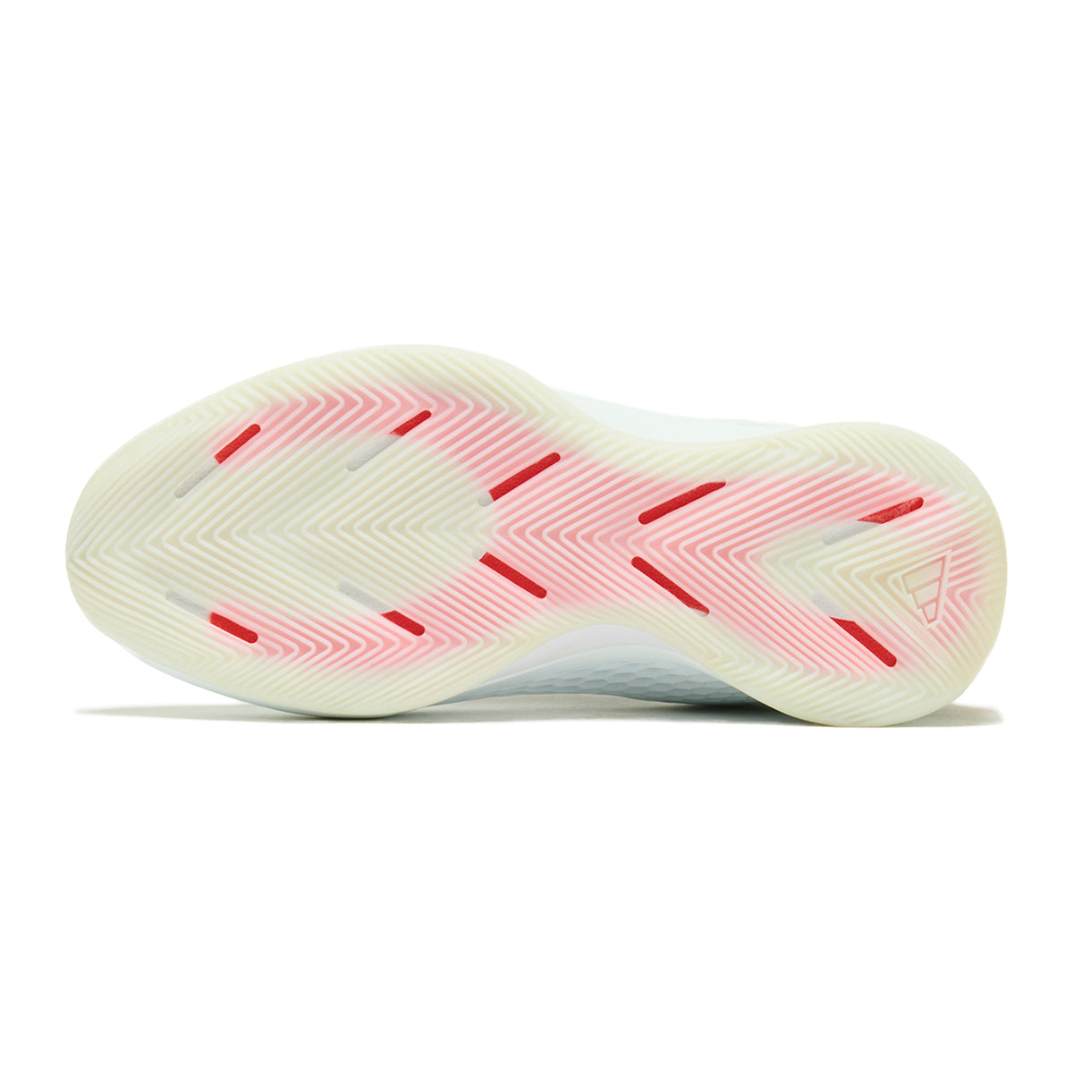 ANTHONY EDWARDS 1 Low Trainers