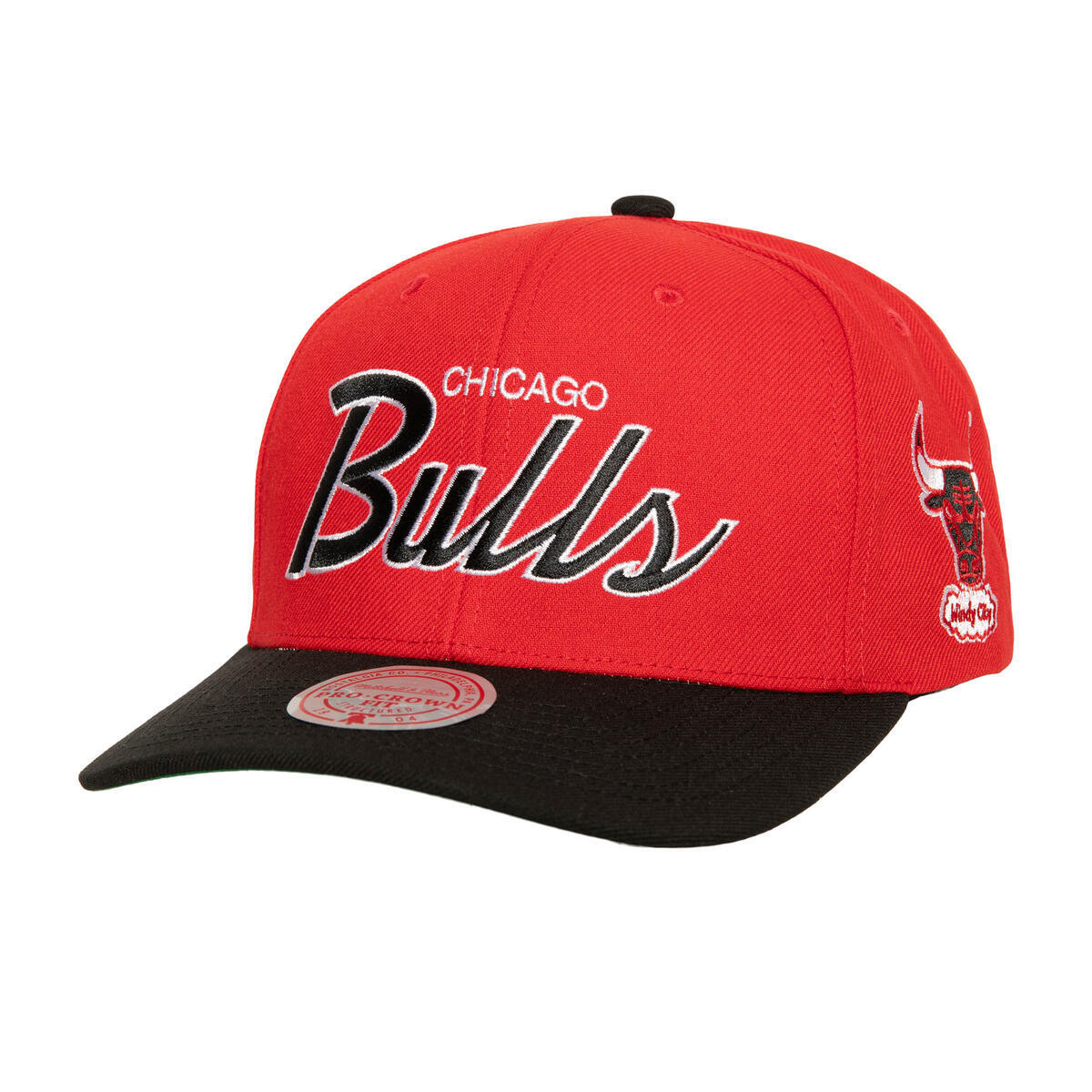 NBA TEAM SCRIPT 2.0 PRO SNAPBACK