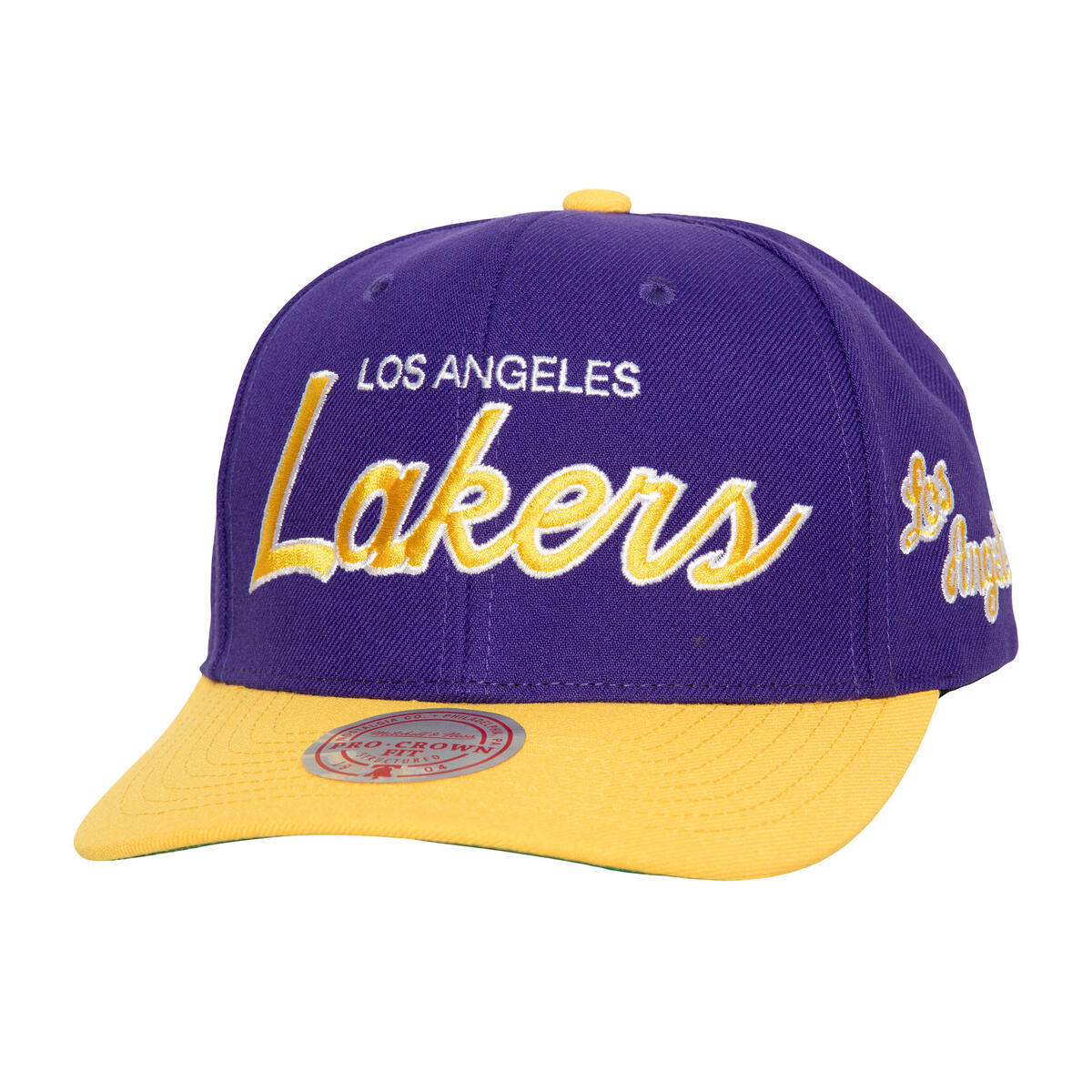 NBA TEAM SCRIPT 2.0 PRO SNAPBACK