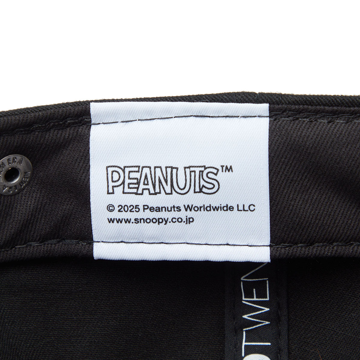 PEANUTS SNOOPY & WOODSTOCK 9TWENTY