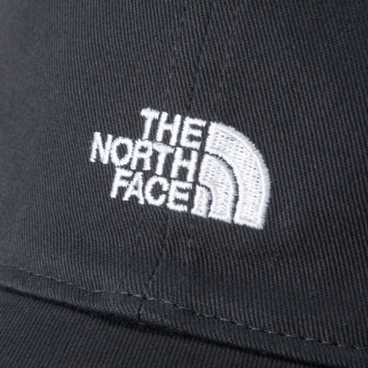 TNF SIMPLY CLASSIC CAP