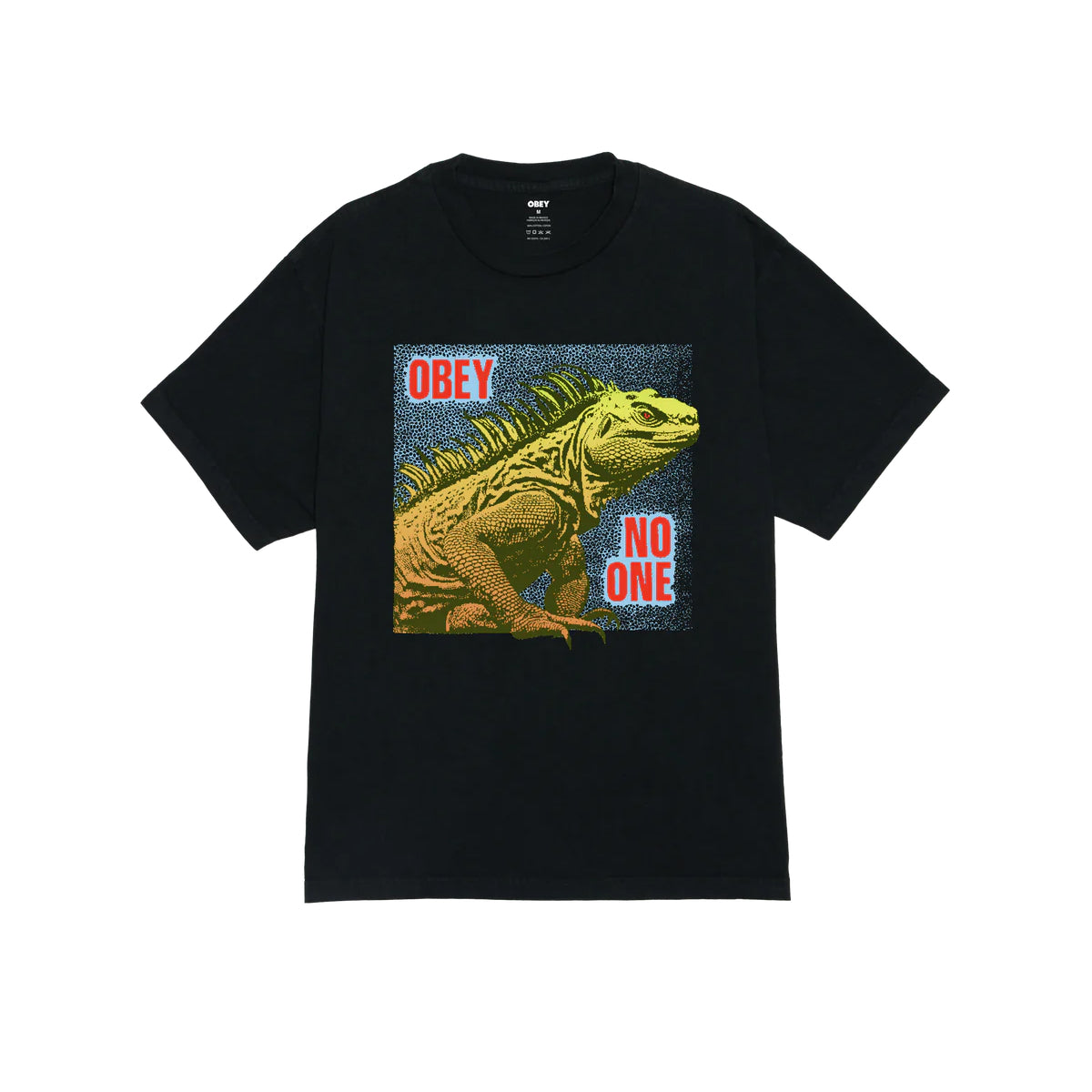 NO ONE REPTILE PIGMENT BOX T-SHIRT