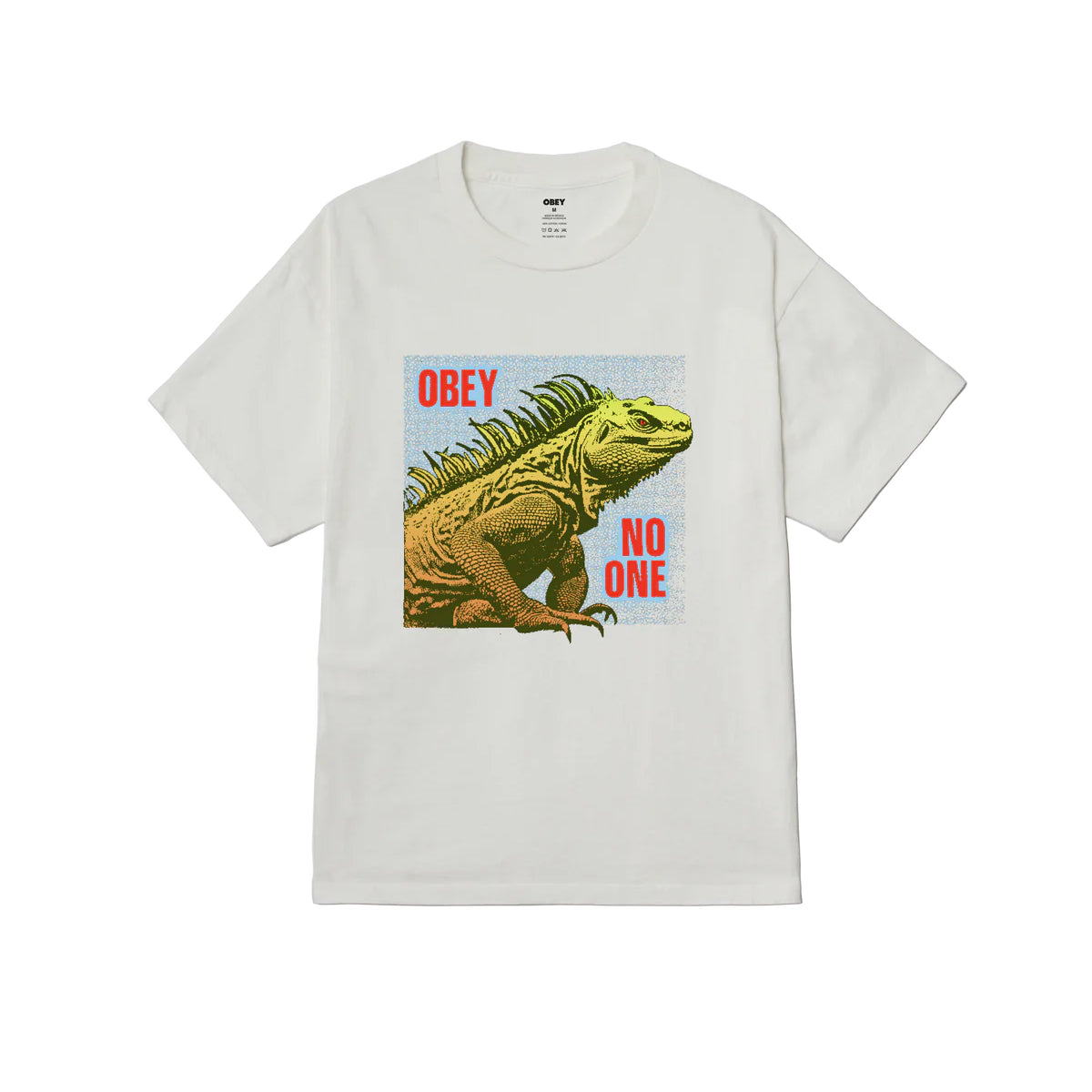NO ONE REPTILE PIGMENT BOX T-SHIRT