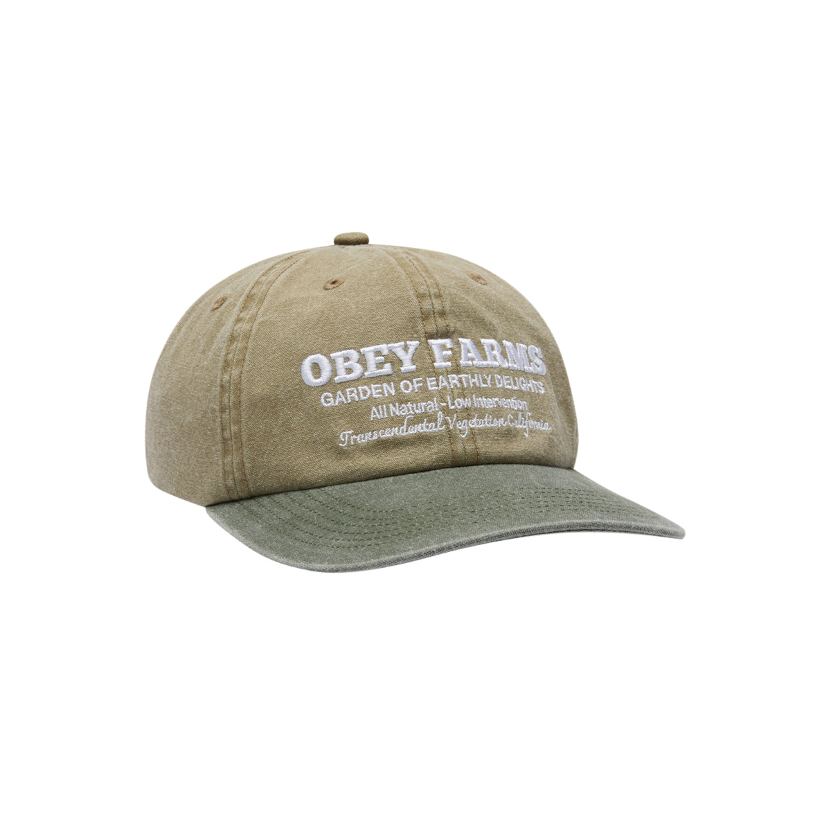 FARMS PIGMENT STRAPBACK