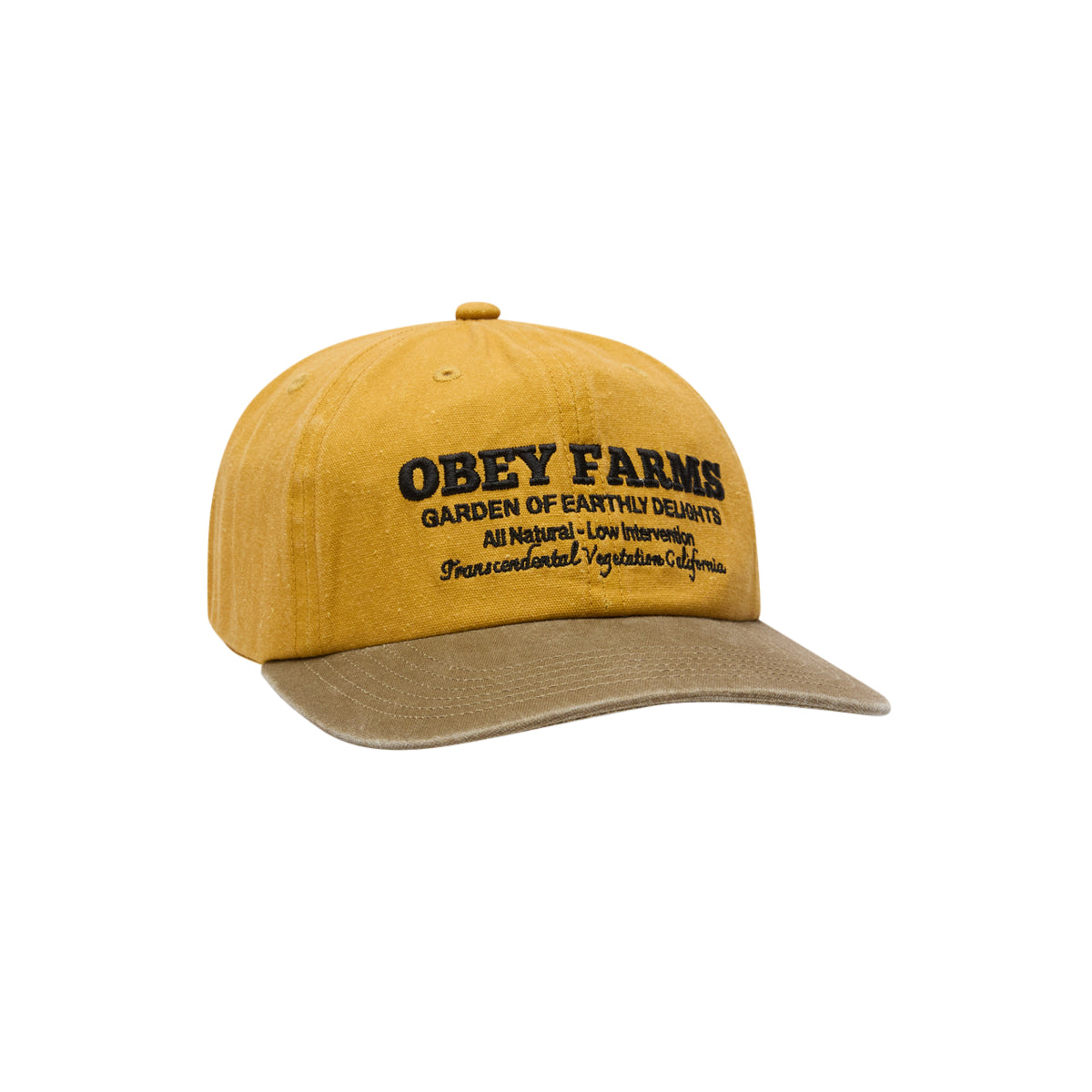 FARMS PIGMENT STRAPBACK