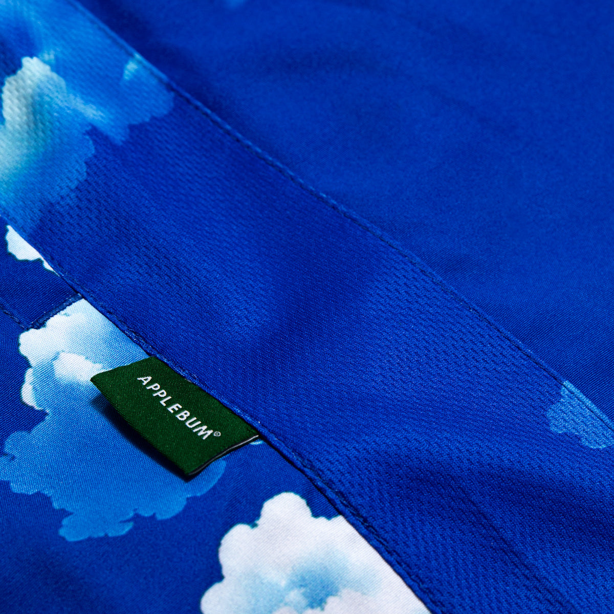 ”Kiss the sky” Basketball Shorts