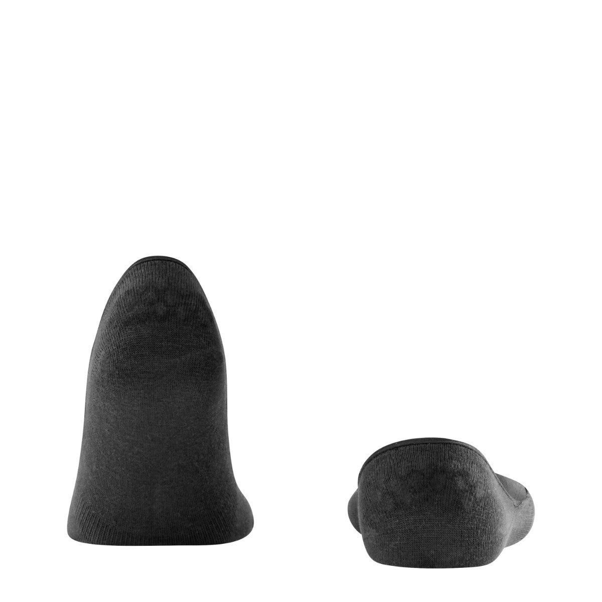 #12498 Step Invisible