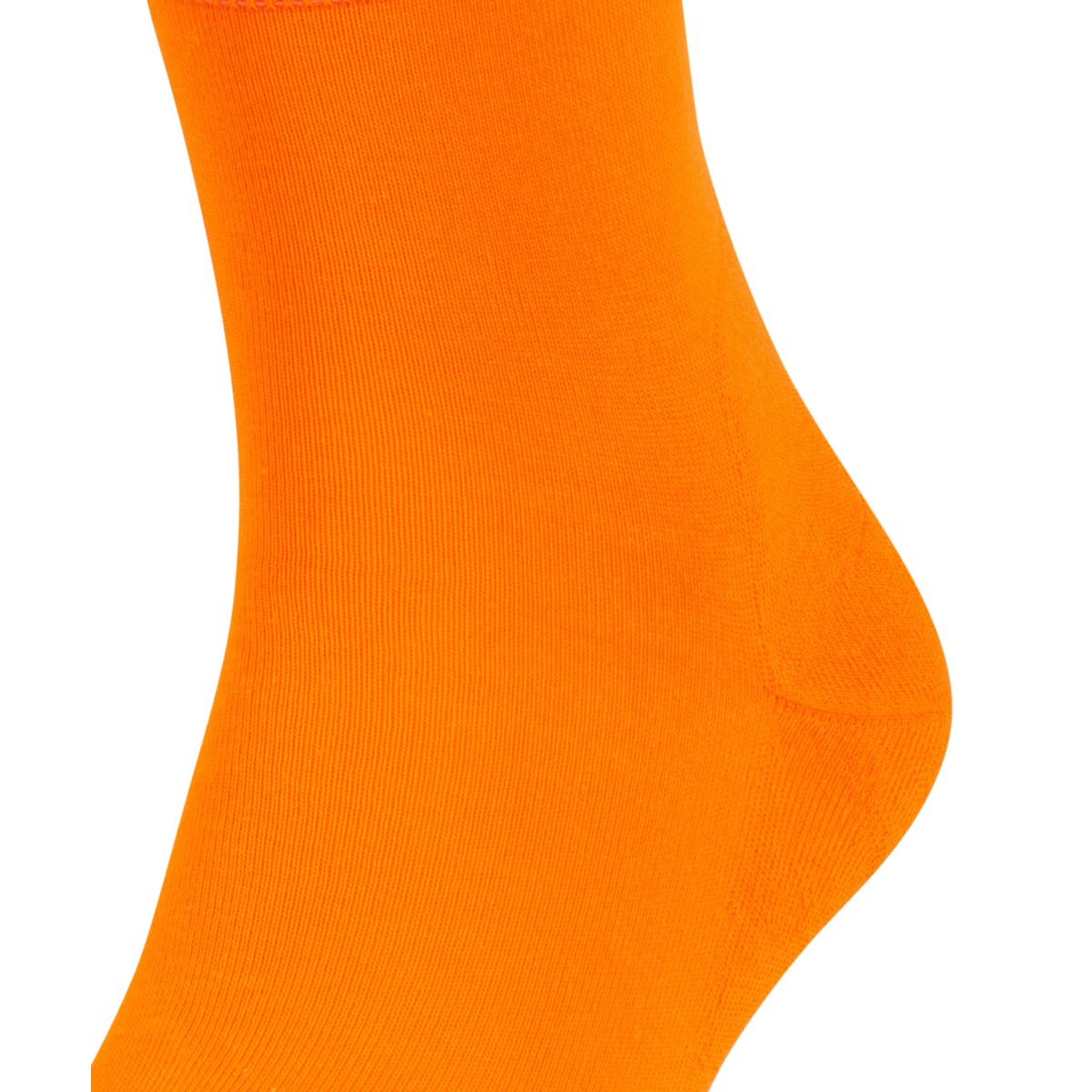 #16605 Run Socks