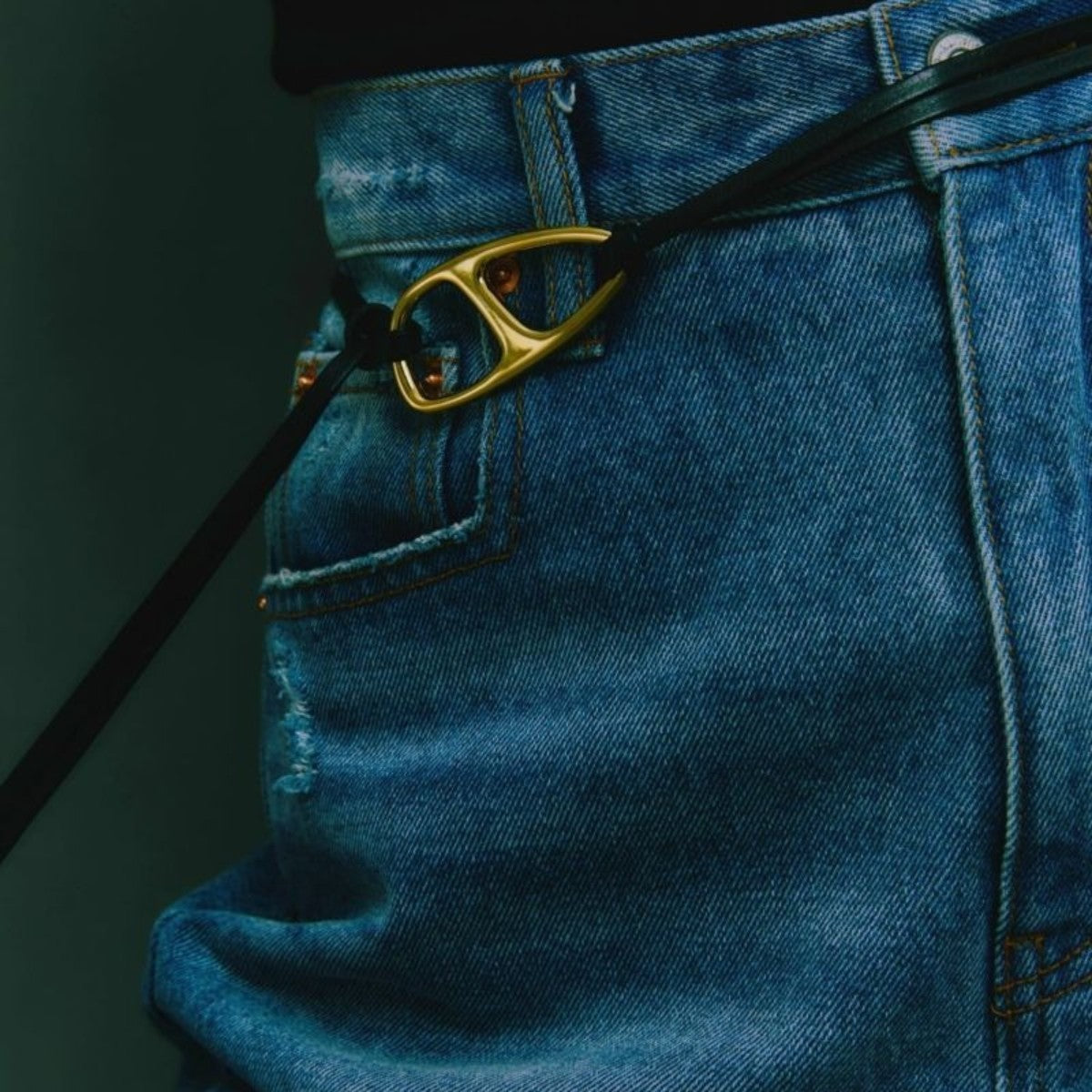 LAPUIS Anchor parts belt ラピュイ アンカー パーツ ベルト 253-220803【レディース アクセサリーベルト ネックレス チョーカー 25FW】