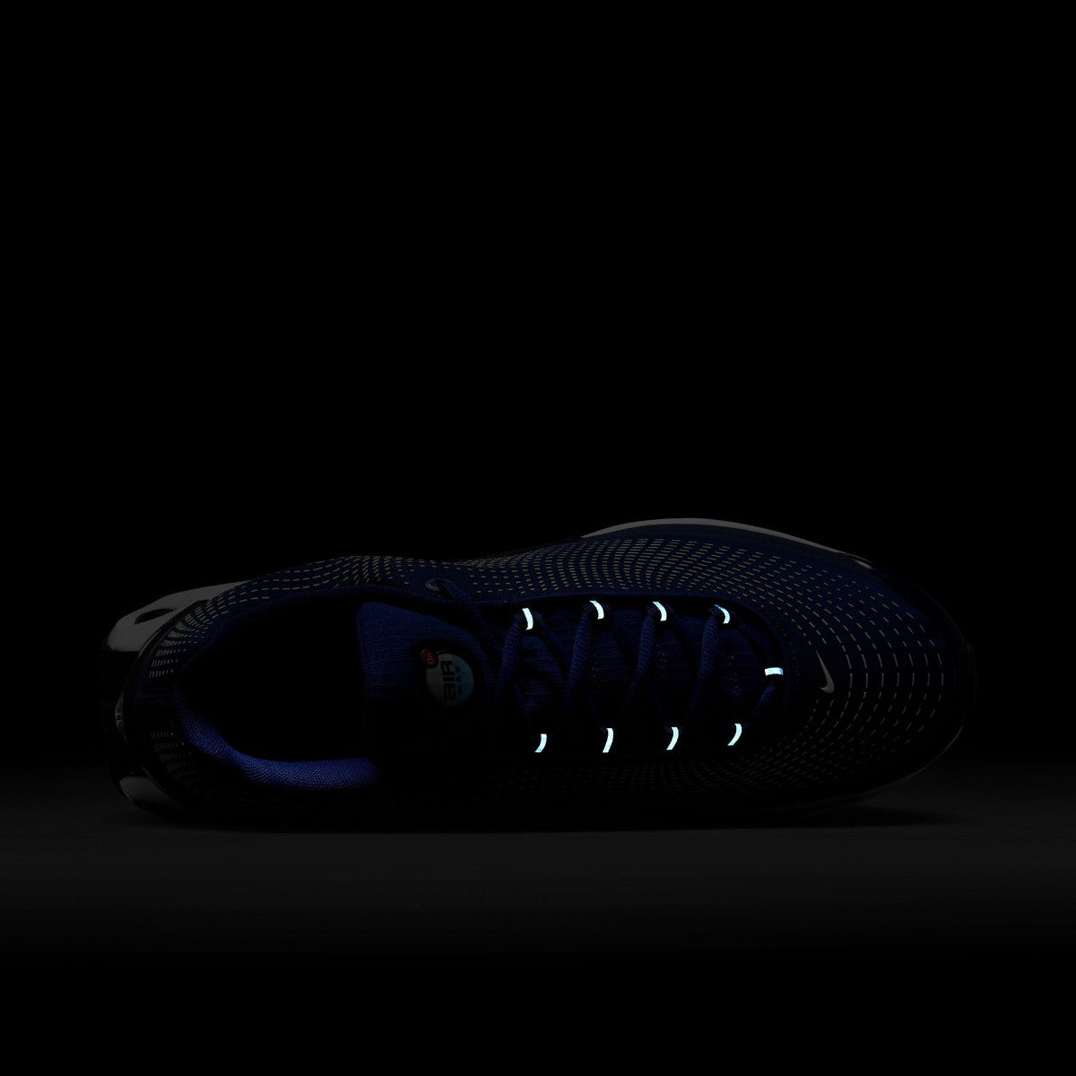 Air Max Dn