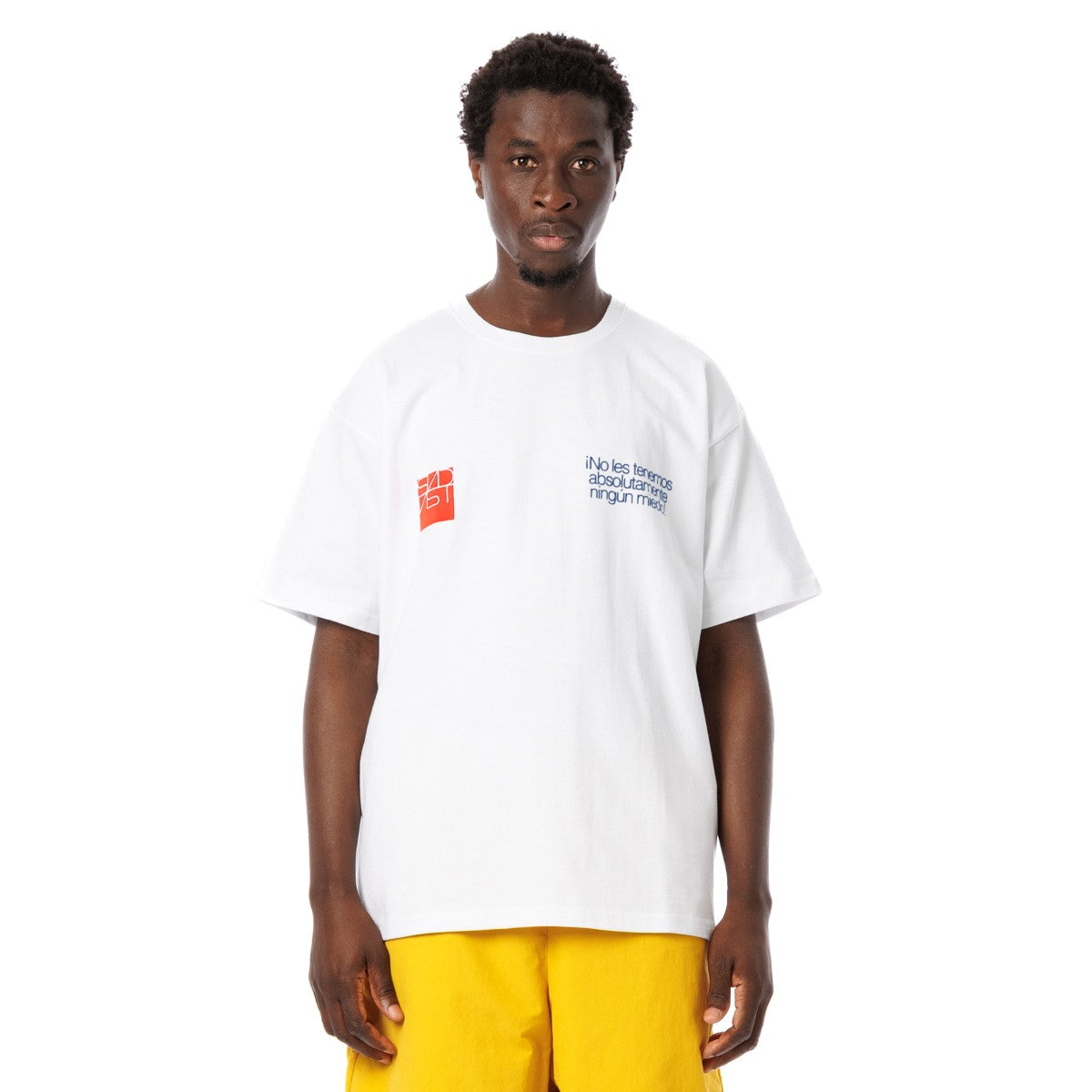 Sandinista Vintage 05 Graphic Tee サンディニスタ ヴィンテージ 05 グラフィック Tシャツ KN-T-012【メンズ 半袖Tシャツ 前面プリント 刺繍 天竺 ミドル丈 25SS】