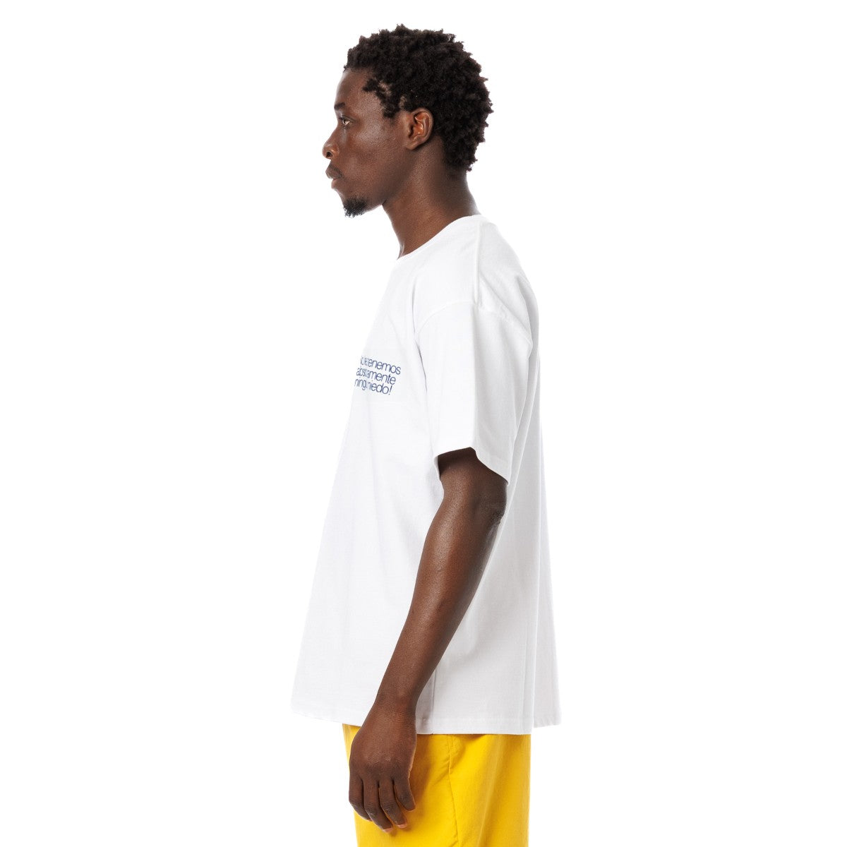 Sandinista Vintage 05 Graphic Tee サンディニスタ ヴィンテージ 05 グラフィック Tシャツ KN-T-012【メンズ 半袖Tシャツ 前面プリント 刺繍 天竺 ミドル丈 25SS】