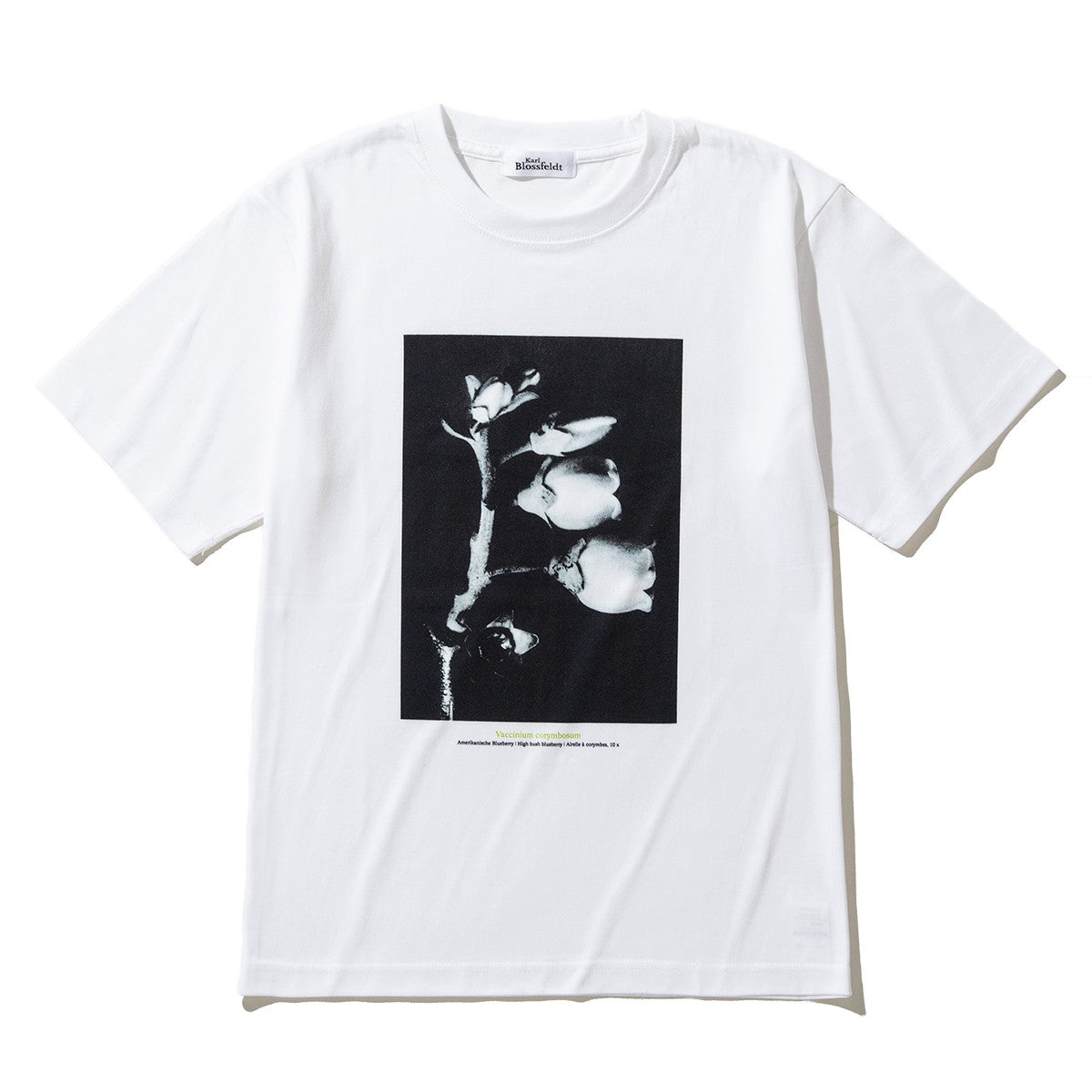Kinetics WOMEN Vaccinium corymbosum キネティクスウィメン バクシニウム コリボーサム KB-002【レディース KARL BLOSSFELDT(カール・ブロスフェルト)半袖Tシャツ 25FW】