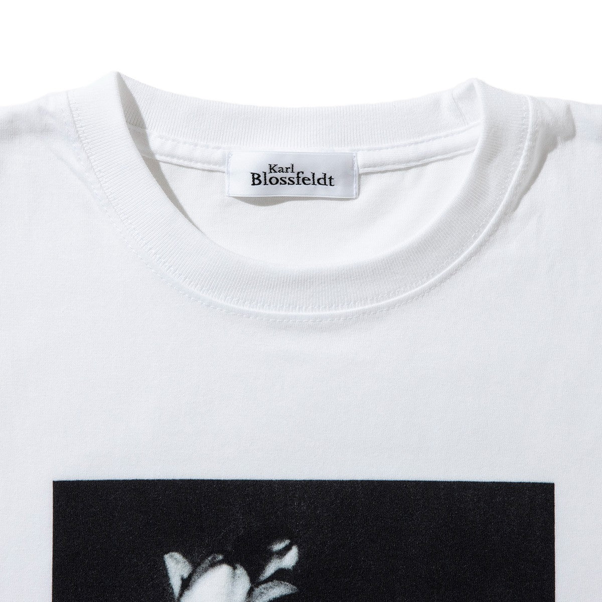 Kinetics WOMEN Vaccinium corymbosum キネティクスウィメン バクシニウム コリボーサム KB-002【レディース KARL BLOSSFELDT(カール・ブロスフェルト)半袖Tシャツ 25FW】
