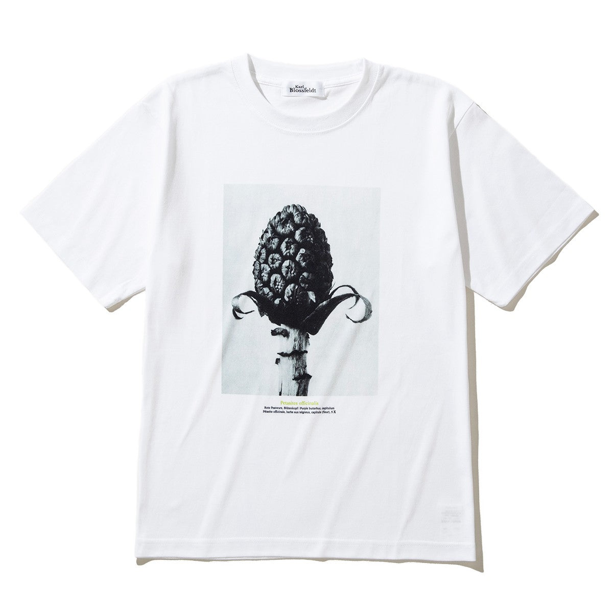 Kinetics WOMEN Petasites officinalis キネティクスウィメン ペタシテス オフキナリス KB-003【レディース KARL BLOSSFELDT(カール・ブロスフェルト)半袖Tシャツ 25FW】