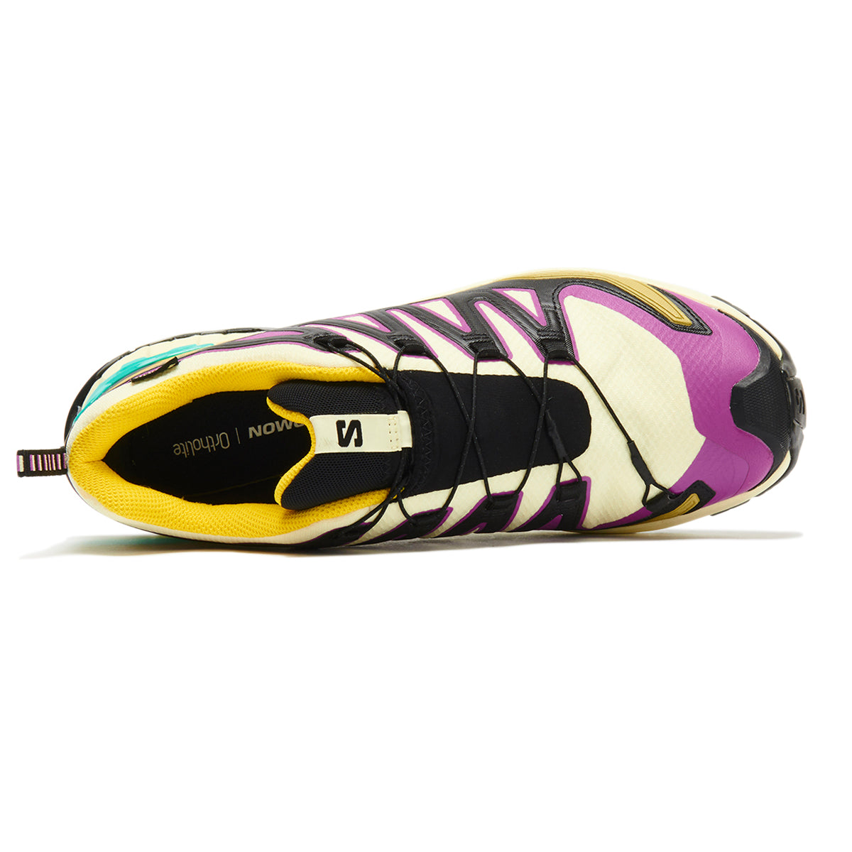 SALOMON XA PRO 3D V9 GORE-TEX サロモン XA PRO 3D V9 ゴアテックス L47882200【レディース トレイルランニング 安定性 防水性 クッション性 耐久性 サポート 25FW】