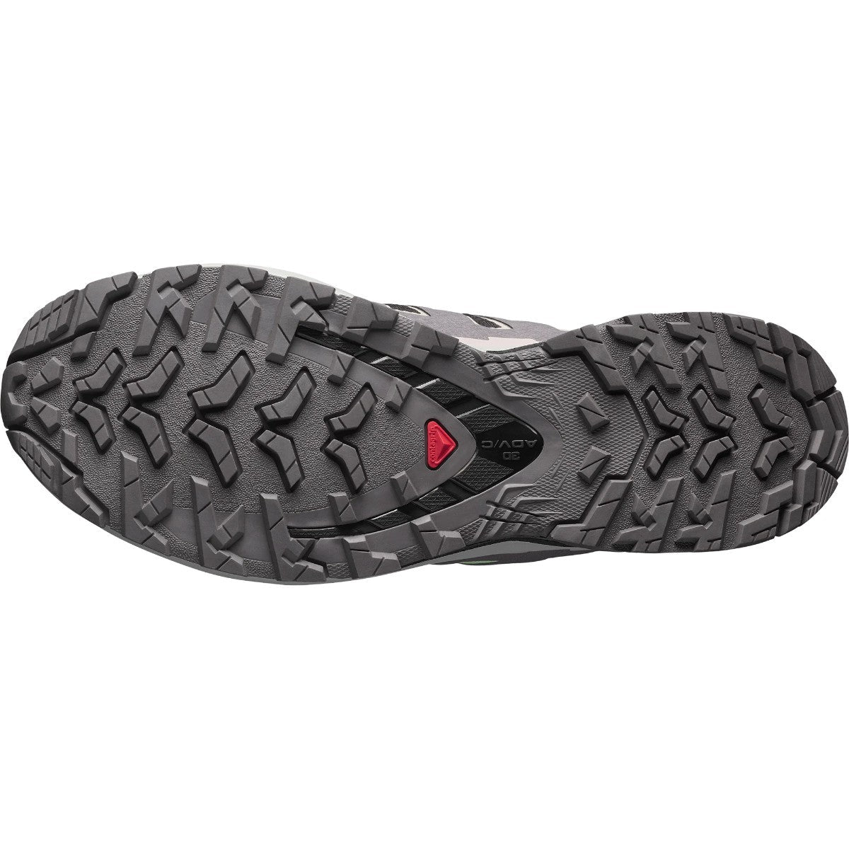 SALOMON XA PRO 3D V9 GORE-TEX サロモン XA PRO 3D V9 ゴアテックス L47882300【レディース トレイルランニング 安定性 防水性 クッション性 耐久性 サポート 25FW】