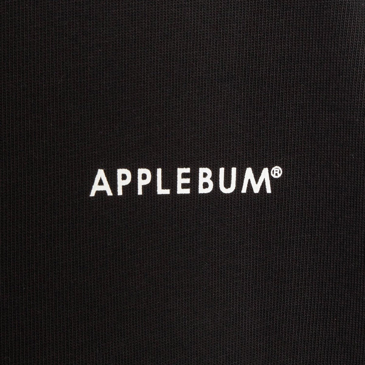APPLEBUM Logo T-shirt アップルバム ロゴ Tシャツ 0001102【メンズ 半袖Tシャツ ブランドロゴ ヘビーウェイト 25SS】