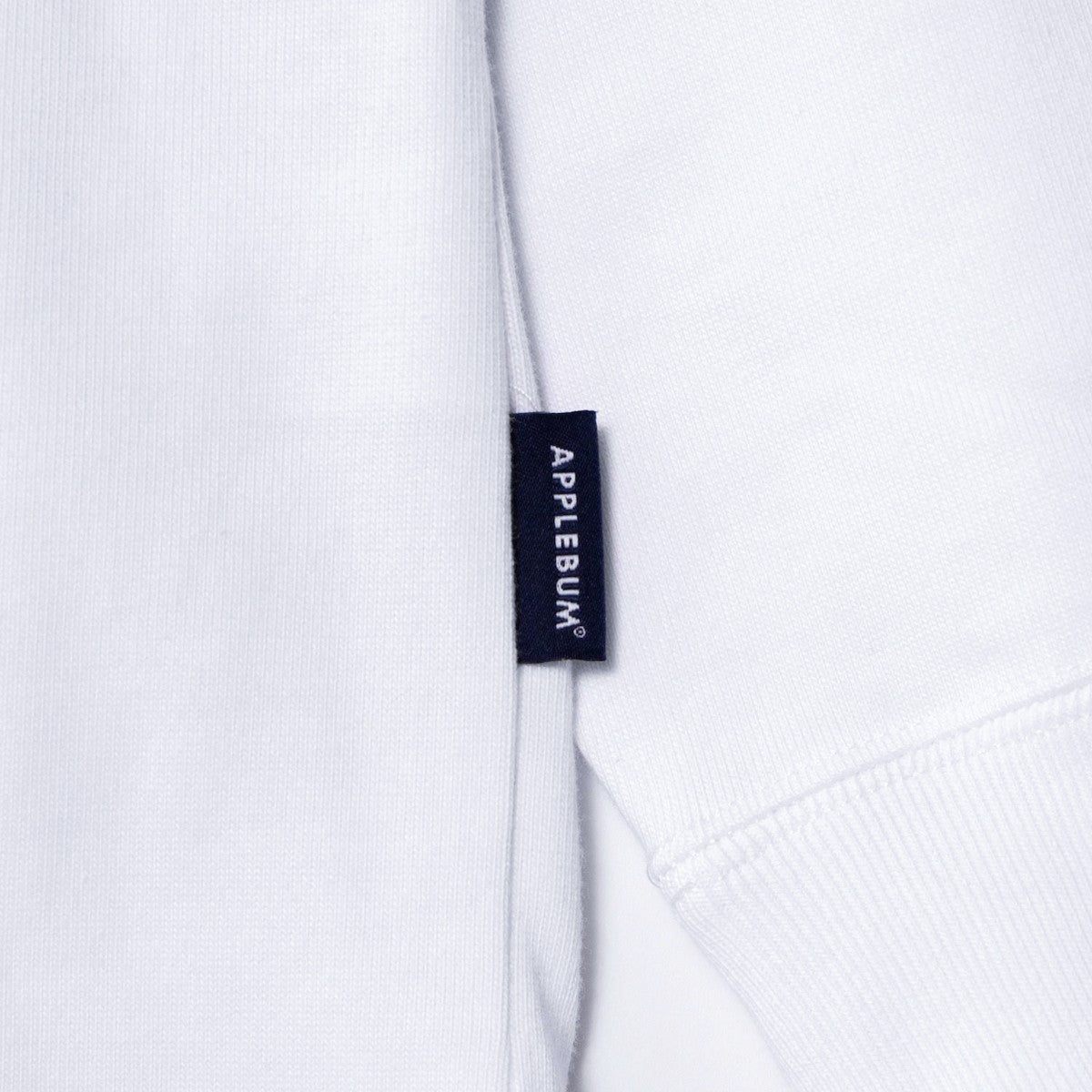 APPLEBUM “ERIC COLEMAN” L/S T SHIRT-MV2 アップルバム “エリック・コールマン” ロングスリーブ Tシャツ-MV2 EC2511104【メンズ 長袖Tシャツ カットソー グラフィックプリント ヘビーウェイト コラボレーション 25FW】