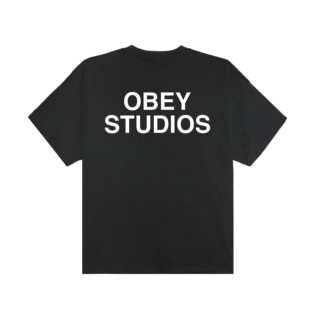 OBEY PIT HEAVYWEIGHT T-SHIRT オベイ ピット ヘビーウェイト Tシャツ 168024363【メンズ コットン100% グラフィック 半袖 26SS】