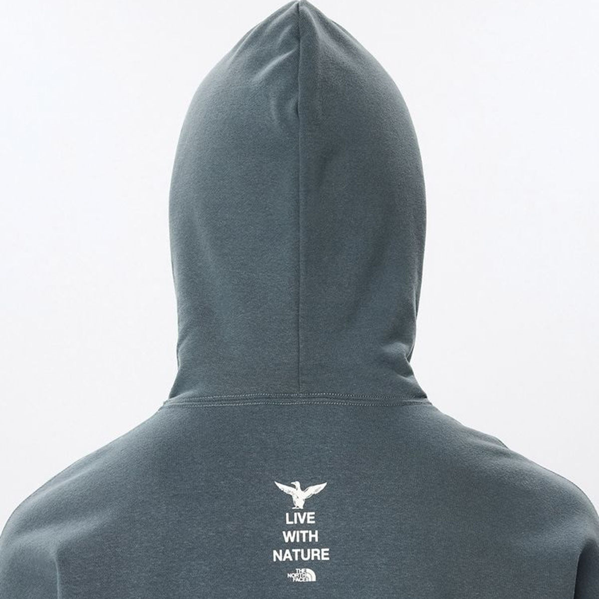 THE NORTH FACE ZOO PICA HOODIE ザ・ノース・フェイス ズーピッカーフーディ NT12645【メンズ スウェットパーカー プルオーバー リラックスフィット サステナブルファッション 26SS】