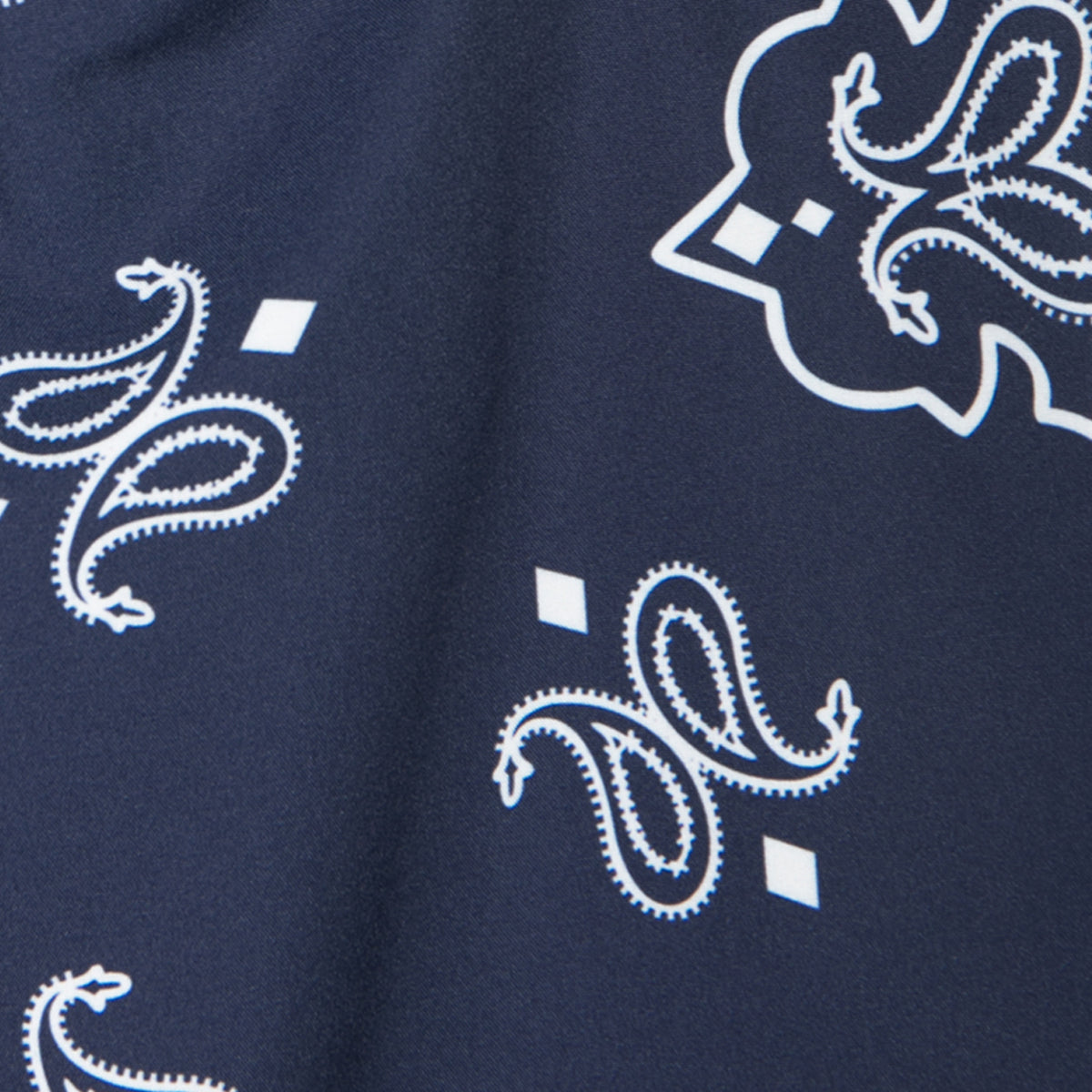 APPLEBUM “Paisley” Hoopers Shorts アップルバム ペイズリー フーパーズショーツ 2610813【メンズ ショートパンツ 和柄 夏コーデ オーバーサイズ 26SS】