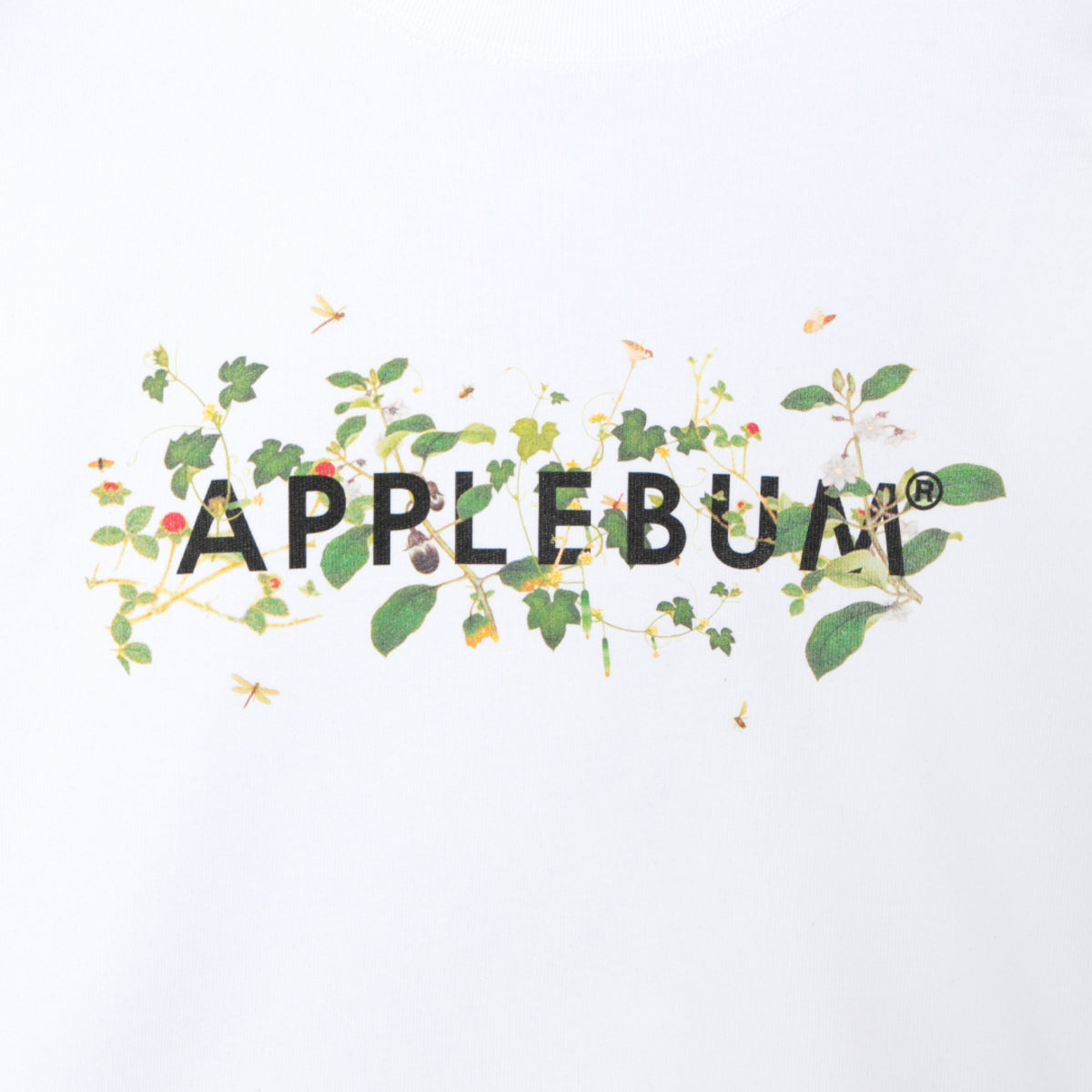 APPLEBUM “Leafed" Logo T-Shirt アップルバム “リーフド" ロゴ ティーシャツ 2611113【メンズ フォトTシャツ プリントTシャツ 半袖 カジュアルトップス 26SS】