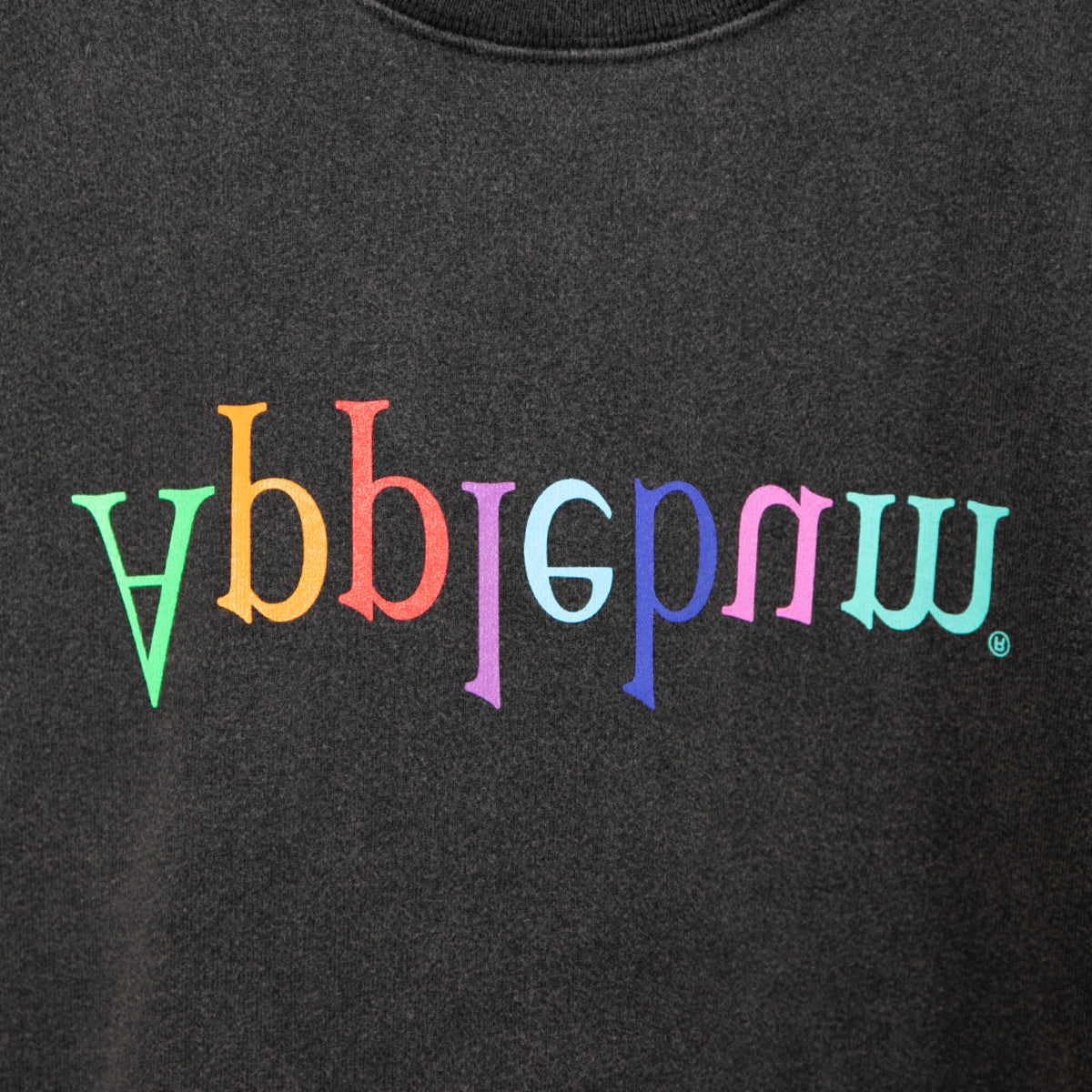 APPLEBUM “Computer-Logo” Washed T-shirt アップルバム “コンピューター ロゴ” ウォッシュド Tシャツ 2611117【メンズ 半袖 綿素材 グラフィック 26SS】