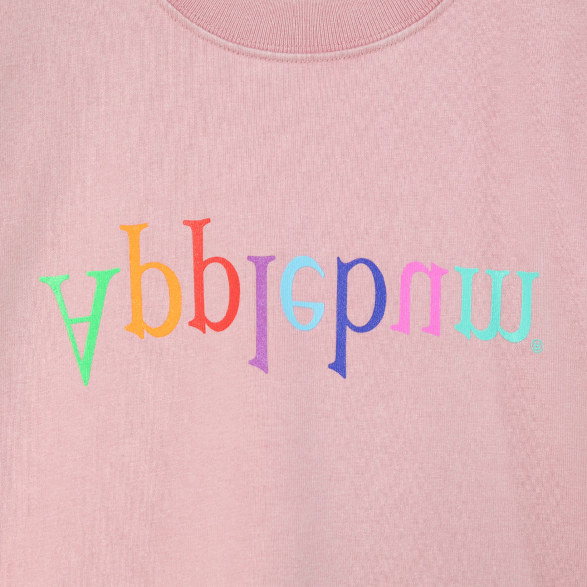 APPLEBUM “Computer-Logo” Washed T-shirt アップルバム “コンピューター ロゴ” ウォッシュド Tシャツ 2611117【メンズ 半袖 綿素材 グラフィック 26SS】