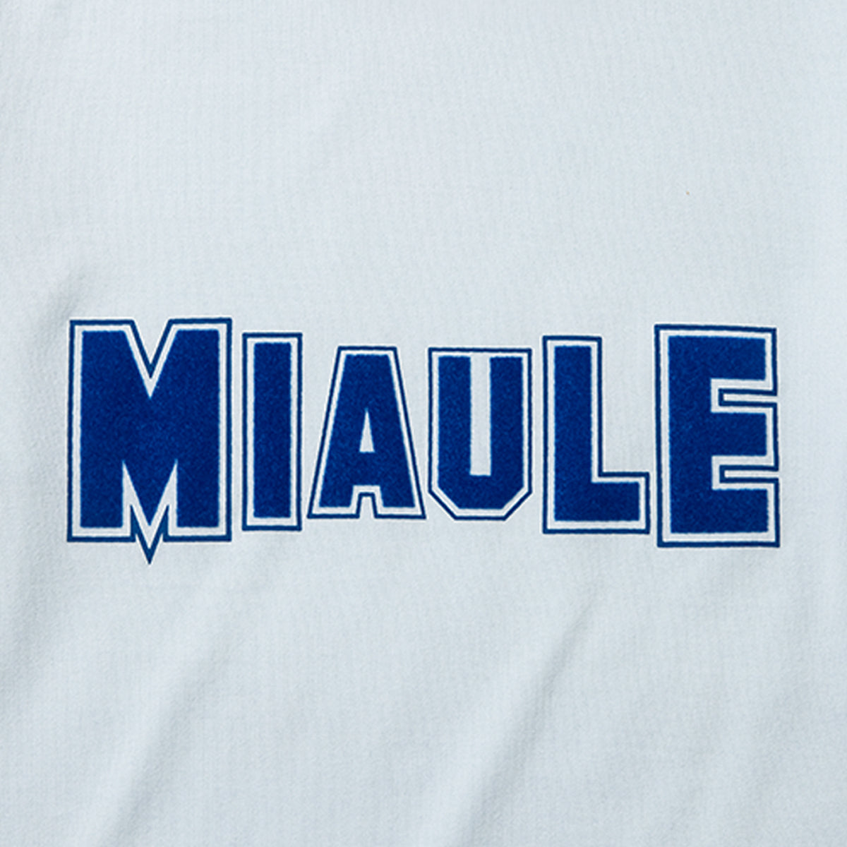 MIYAO Print T-Shirt ミヤオ プリントTシャツ METS-02【レディース コットン素材 半袖 26SS】