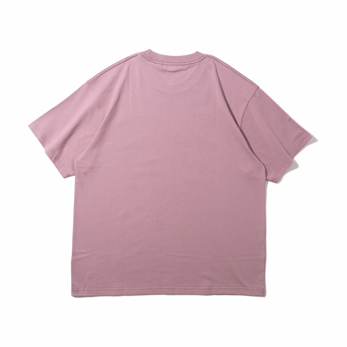 Diaspora skateboards Embroidererd LZR Tee ディアスポラ スケートボード エンブロイダードエルゼットアールティー DSP-26SS-ST01【メンズ メンズTシャツ スポーツモチーフ 刺繍ロゴ ヘビーウェイト 空紡糸 26SS】