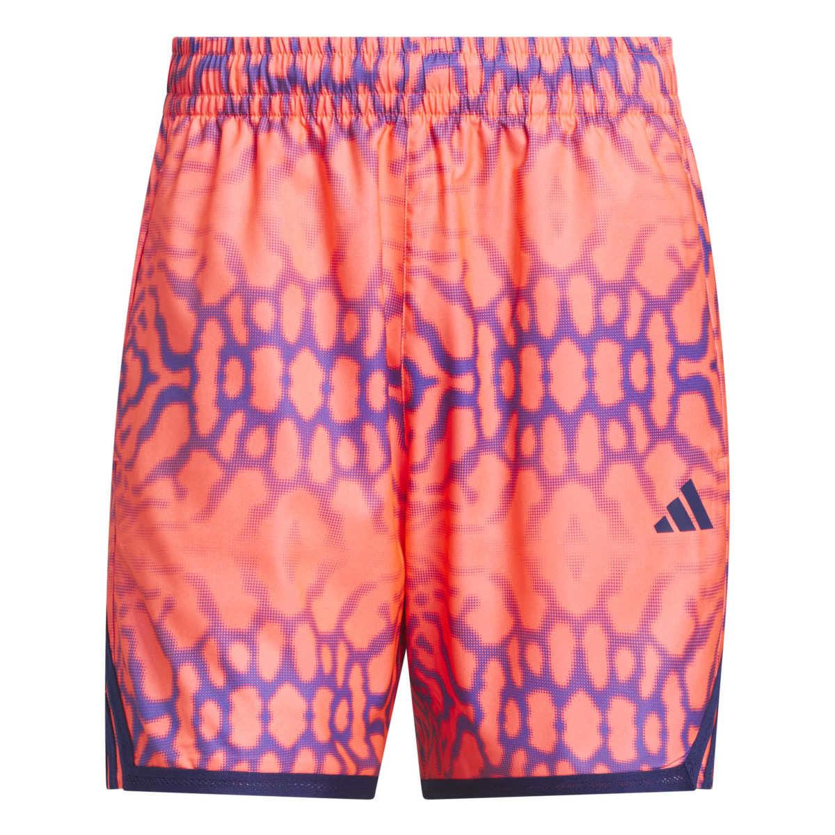 ADIDAS CRAZY LIGHT GRAPHIC SHORTS ZS361 – Kinetics（キネティクス