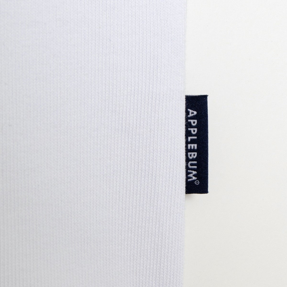 APPLEBUM “WORM” 浮世絵 T-shirt アップルバム “WORM” ウキヨエ Tシャツ HS2511126【メンズ 半袖 グラフィック ヘビーオンス 26SS】