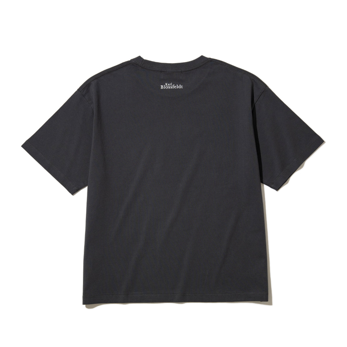 Kinetics WOMEN CUCURBITA T-Shirt キネティクスウィメン キューカービタ Tシャツ 26SS-KBF-001【レディース 半袖 フォトTシャツ 綿素材 26SS】