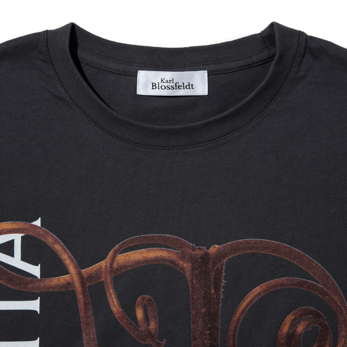 Kinetics WOMEN CUCURBITA T-Shirt キネティクスウィメン キューカービタ Tシャツ 26SS-KBF-001【レディース 半袖 フォトTシャツ 綿素材 26SS】