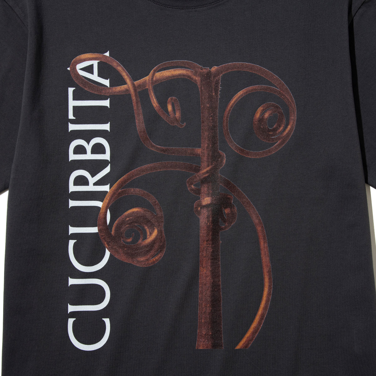 Kinetics WOMEN CUCURBITA T-Shirt キネティクスウィメン キューカービタ Tシャツ 26SS-KBF-001【レディース 半袖 フォトTシャツ 綿素材 26SS】