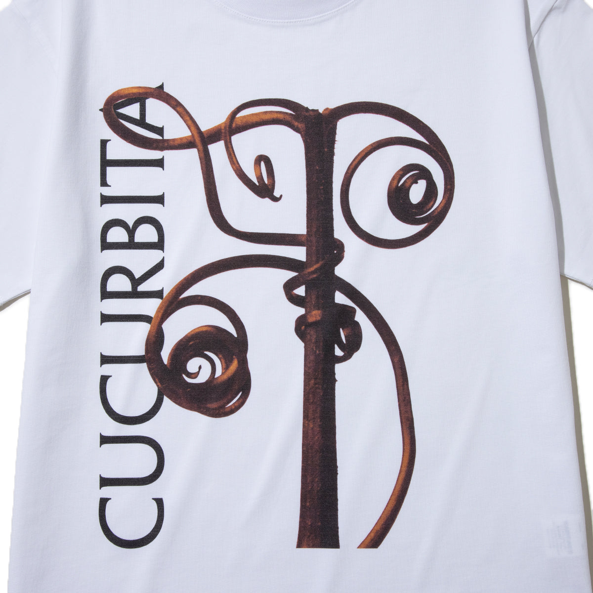 Kinetics WOMEN CUCURBITA T-Shirt キネティクスウィメン キューカービタ Tシャツ 26SS-KBF-001【レディース 半袖 フォトTシャツ 綿素材 26SS】