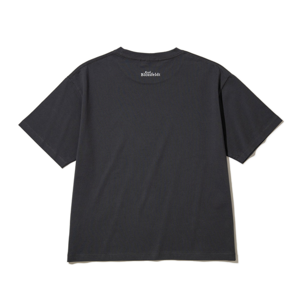 Kinetics WOMEN ADIANTUM PEDATUM T-Shirt キネティクスウィメン アディアントゥム ペダトゥム Tシャツ 26SS-KBF-004【レディース 半袖 フォトTシャツ 綿素材 26SS】
