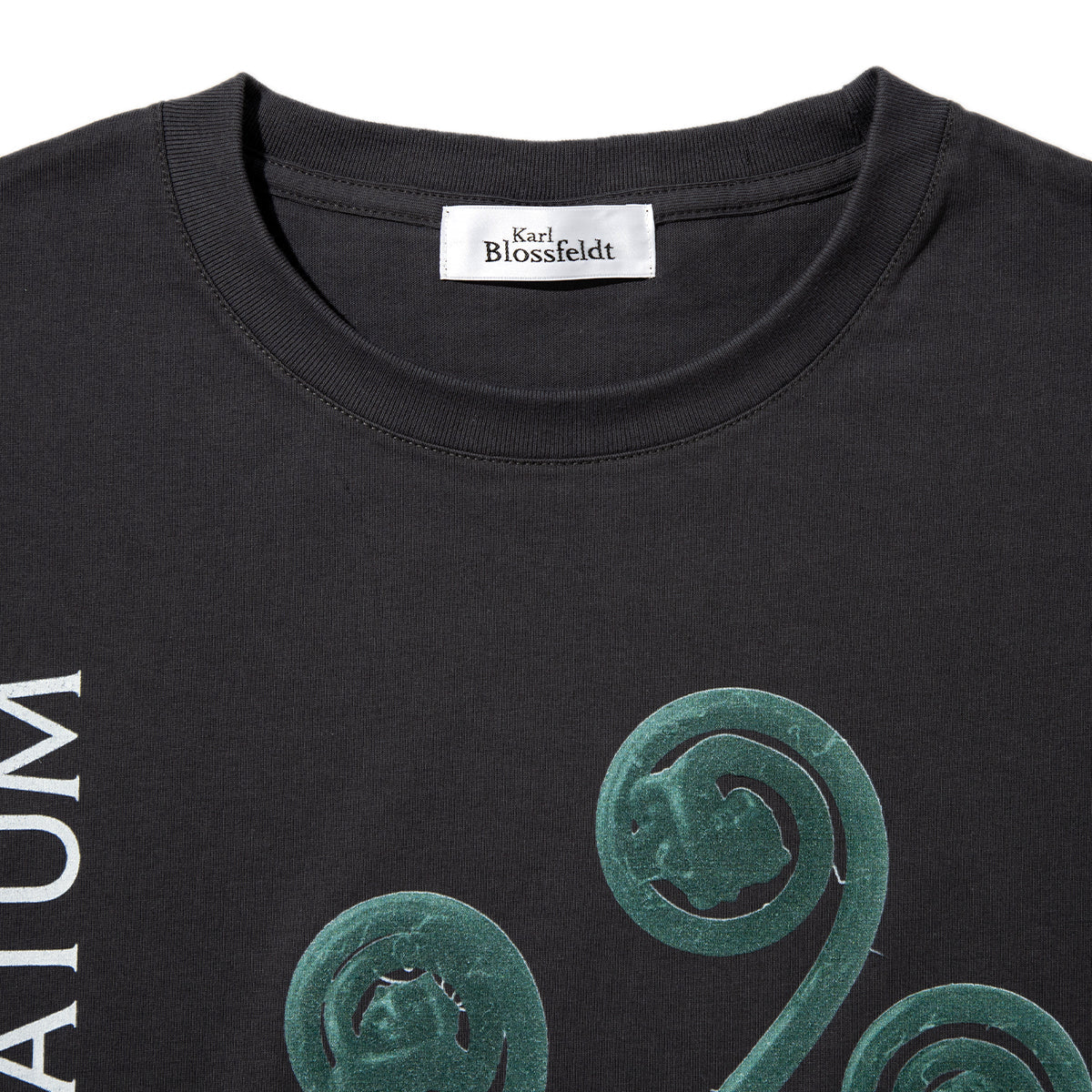 Kinetics WOMEN ADIANTUM PEDATUM T-Shirt キネティクスウィメン アディアントゥム ペダトゥム Tシャツ 26SS-KBF-004【レディース 半袖 フォトTシャツ 綿素材 26SS】
