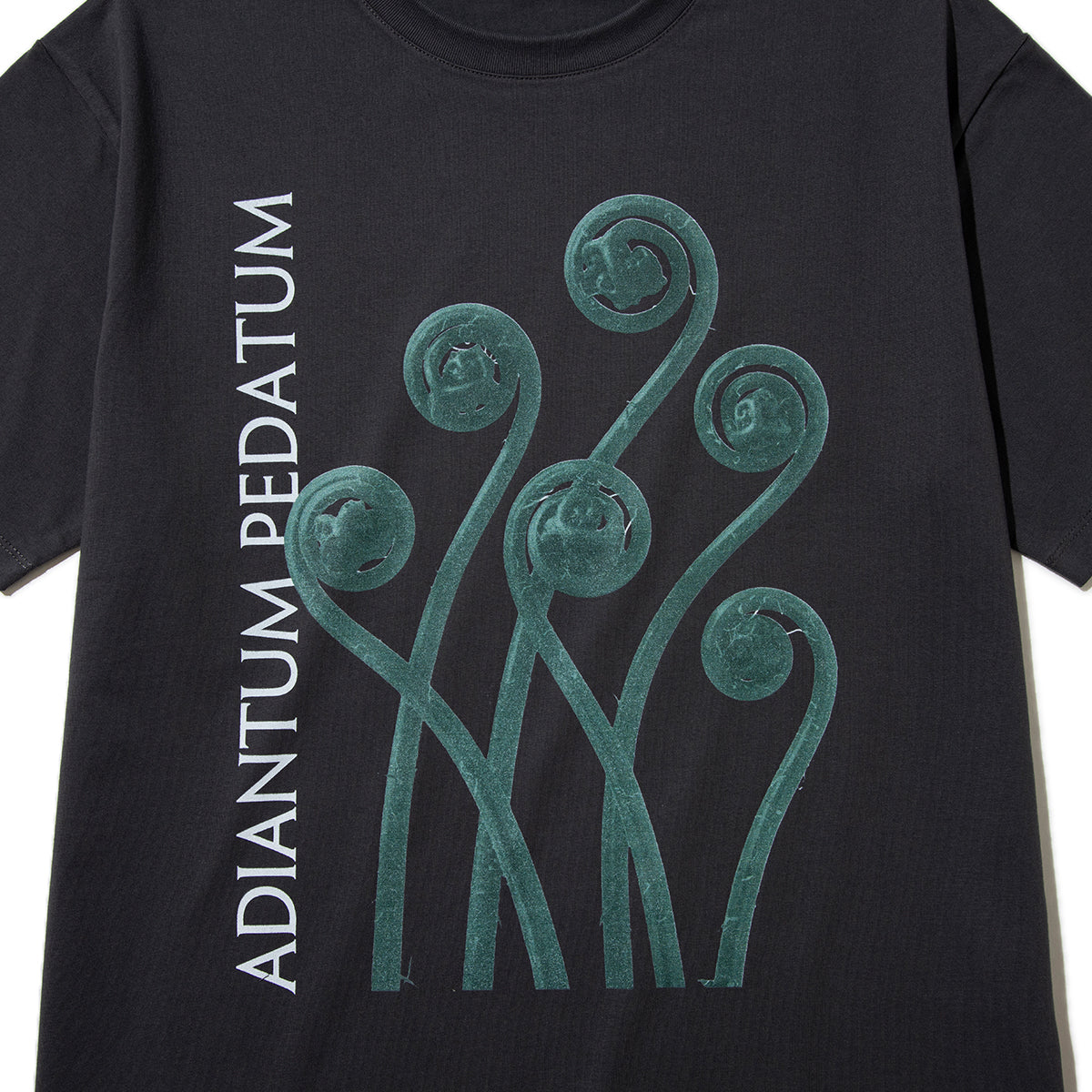 Kinetics WOMEN ADIANTUM PEDATUM T-Shirt キネティクスウィメン アディアントゥム ペダトゥム Tシャツ 26SS-KBF-004【レディース 半袖 フォトTシャツ 綿素材 26SS】