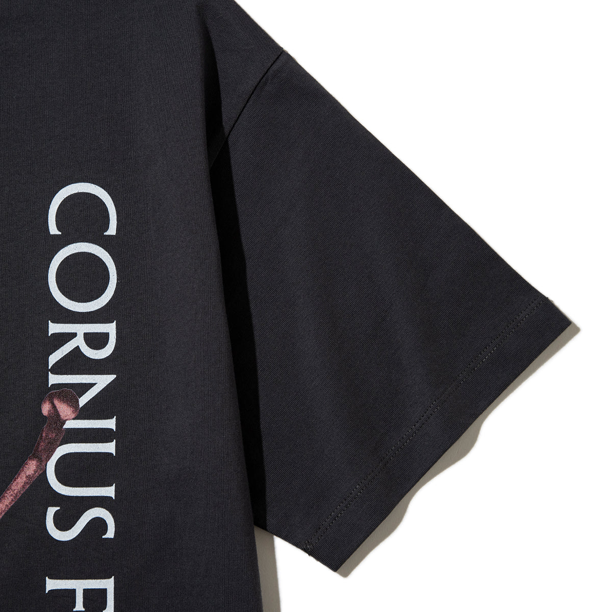 Kinetics WOMEN CORNUS FLORIDA T-Shirt キネティクスウィメン コーナス フロリダ Tシャツ 26SS-KBF-005【レディース 半袖 フォトTシャツ 綿素材 26SS】