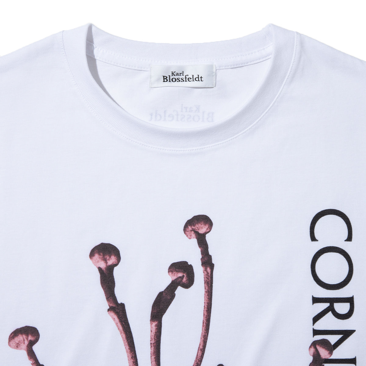 Kinetics WOMEN CORNUS FLORIDA T-Shirt キネティクスウィメン コーナス フロリダ Tシャツ 26SS-KBF-005【レディース 半袖 フォトTシャツ 綿素材 26SS】