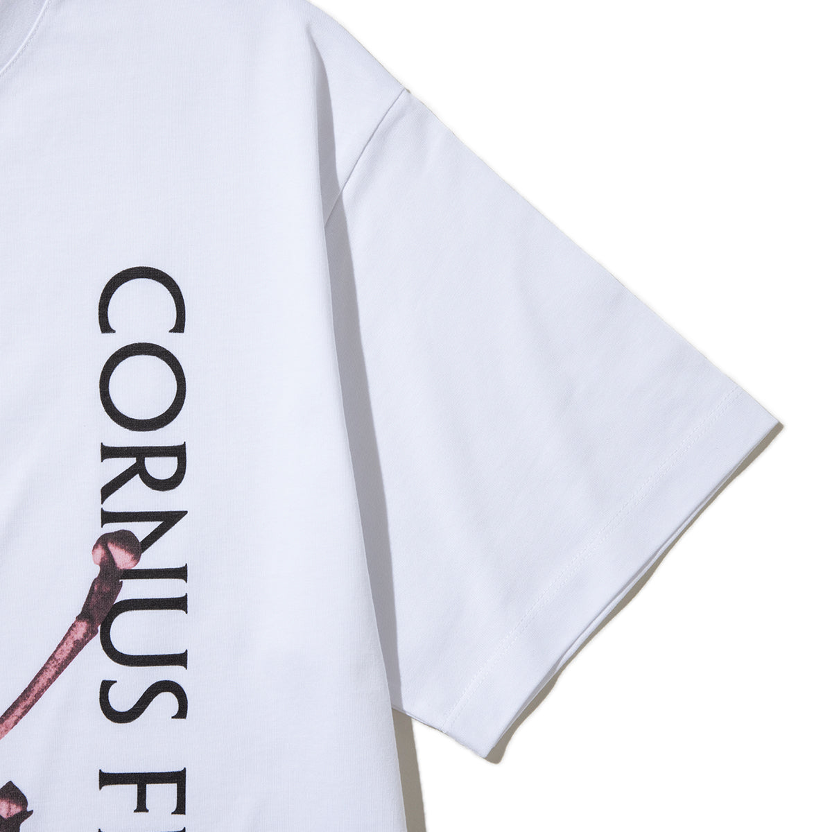 Kinetics WOMEN CORNUS FLORIDA T-Shirt キネティクスウィメン コーナス フロリダ Tシャツ 26SS-KBF-005【レディース 半袖 フォトTシャツ 綿素材 26SS】